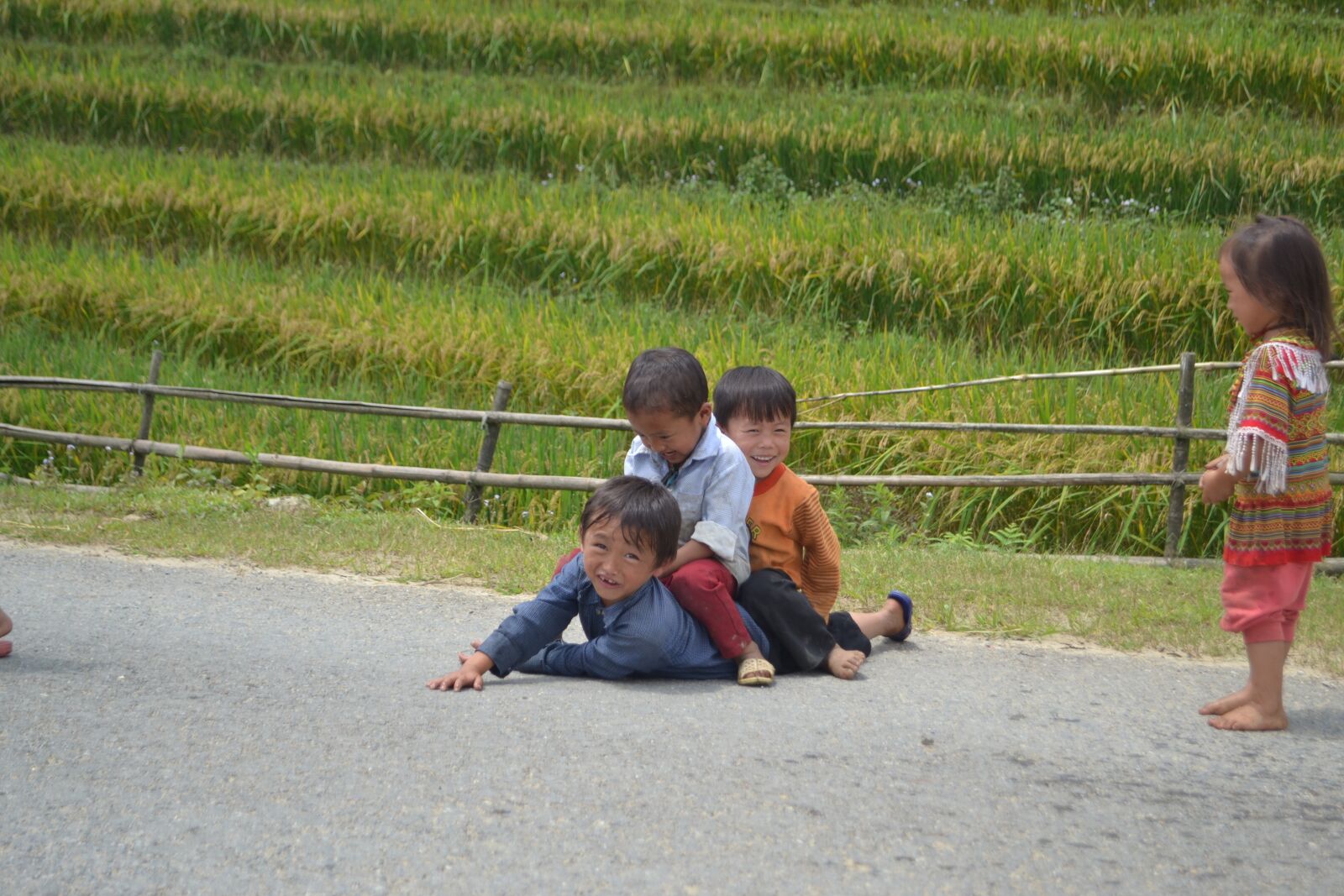 Nikon D3100 sample photo