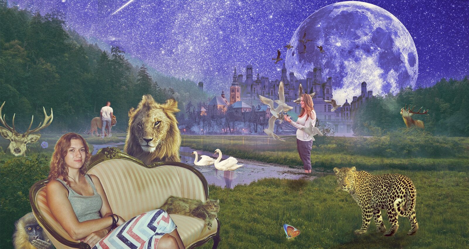 Fujifilm X10 sample photo. Planet, moon, lions photography