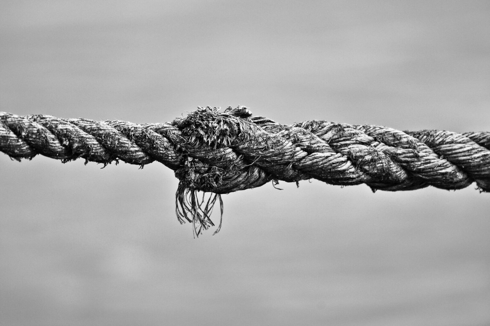 Nikon D90 sample photo. Rope, knot, twisted photography