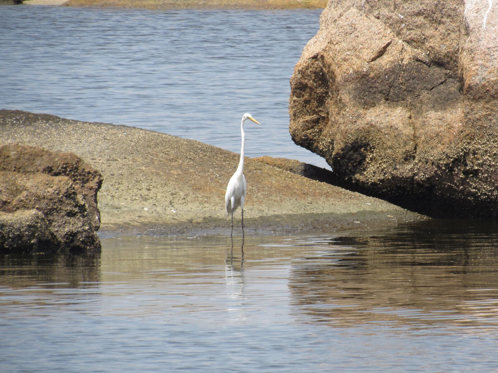 Canon PowerShot SX520 HS sample photo. Beach, trip, outdoors photography