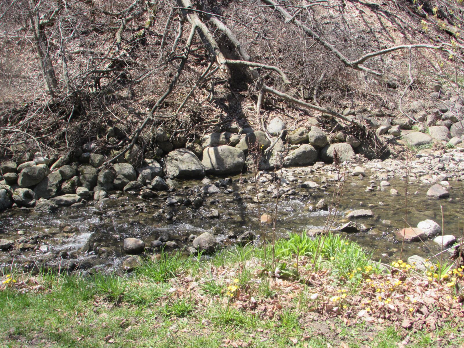 Canon PowerShot SX510 HS sample photo. Nature, creek, outdoors photography