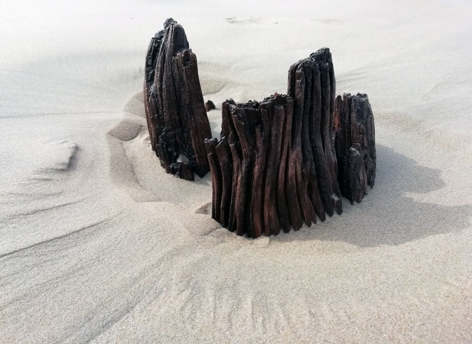 HUAWEI FIG-LX1 sample photo. Cintsa beach, sand, wood photography