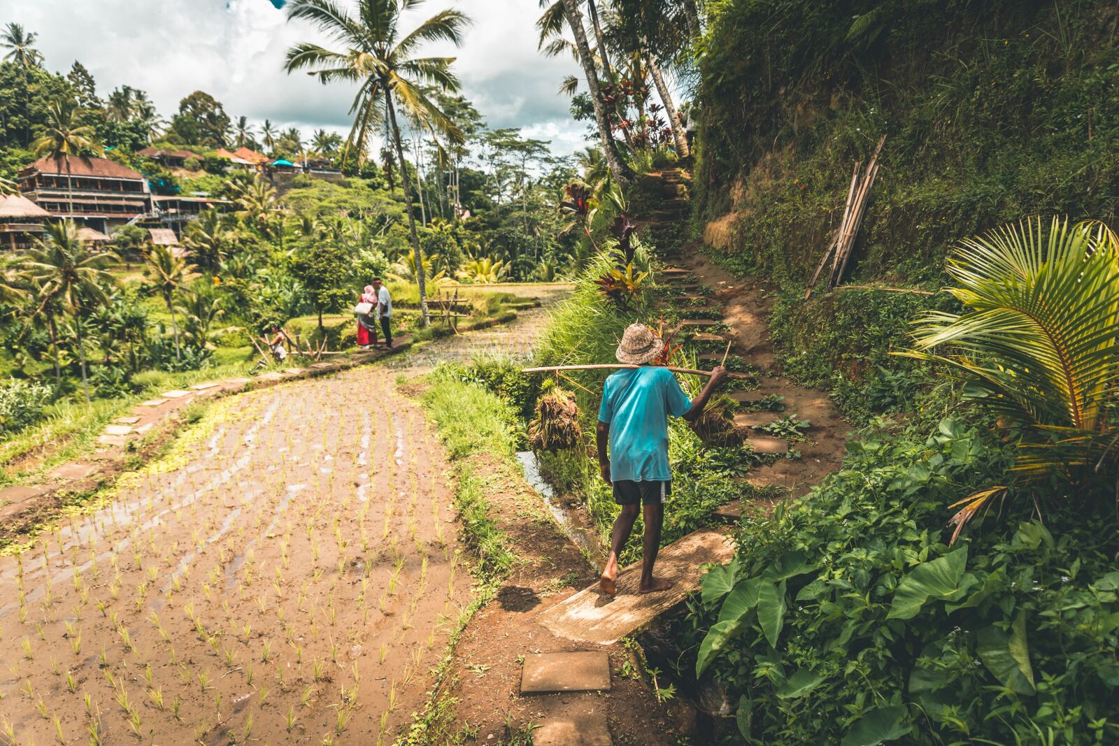 Canon EOS 6D sample photo. Bali, rice terraces, hard photography