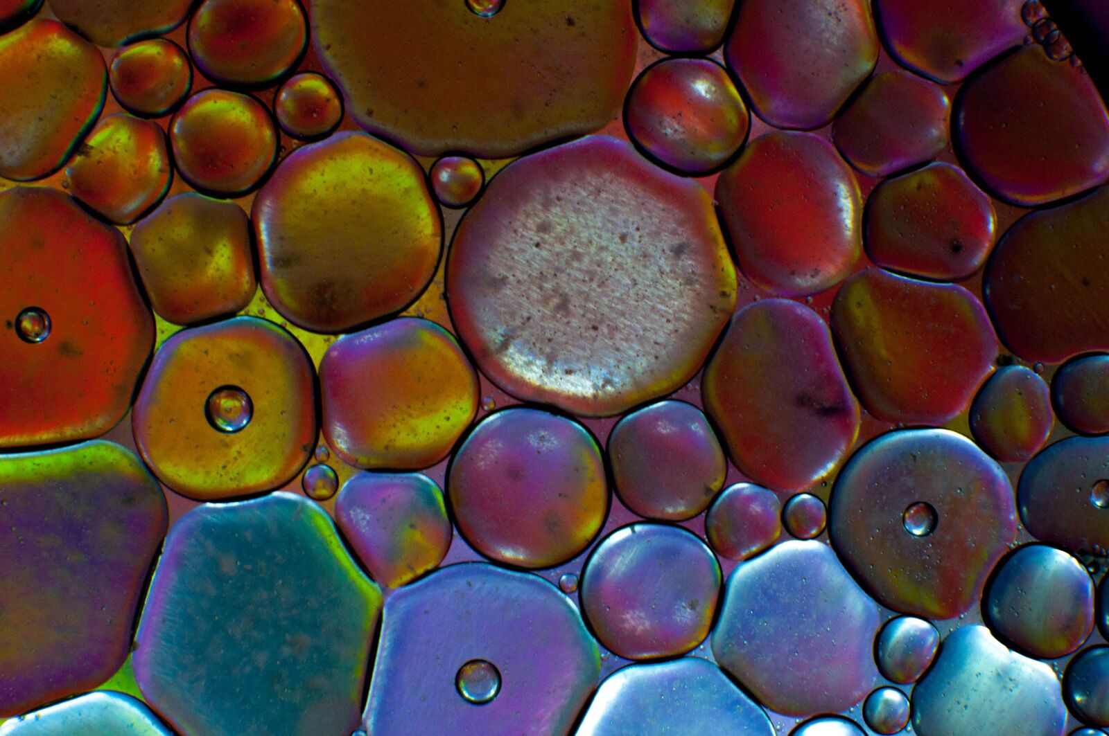 Nikon D90 sample photo. Macro, wheels, colors photography
