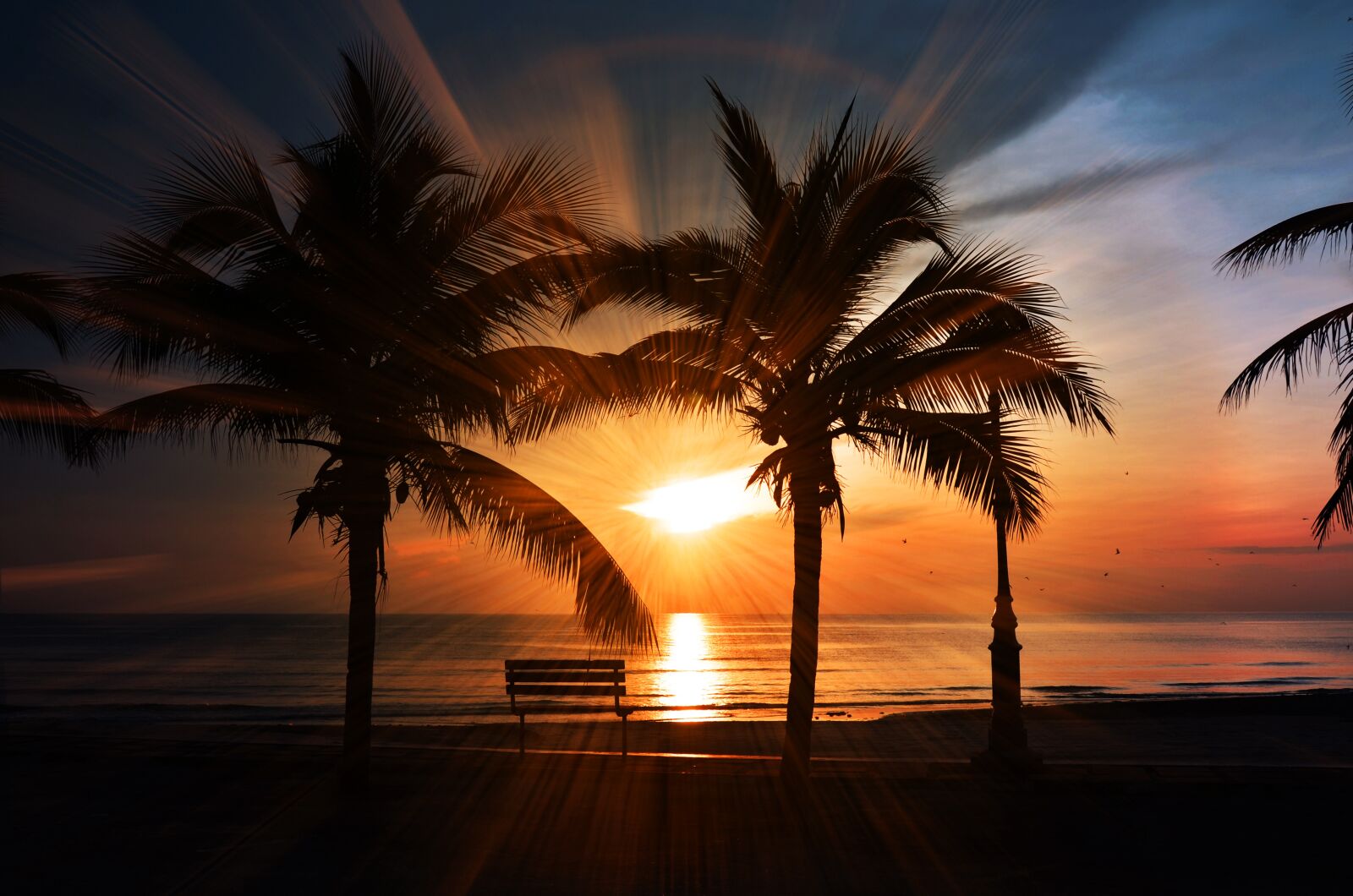 Nikon D7000 sample photo. Sunset, beach, palm photography