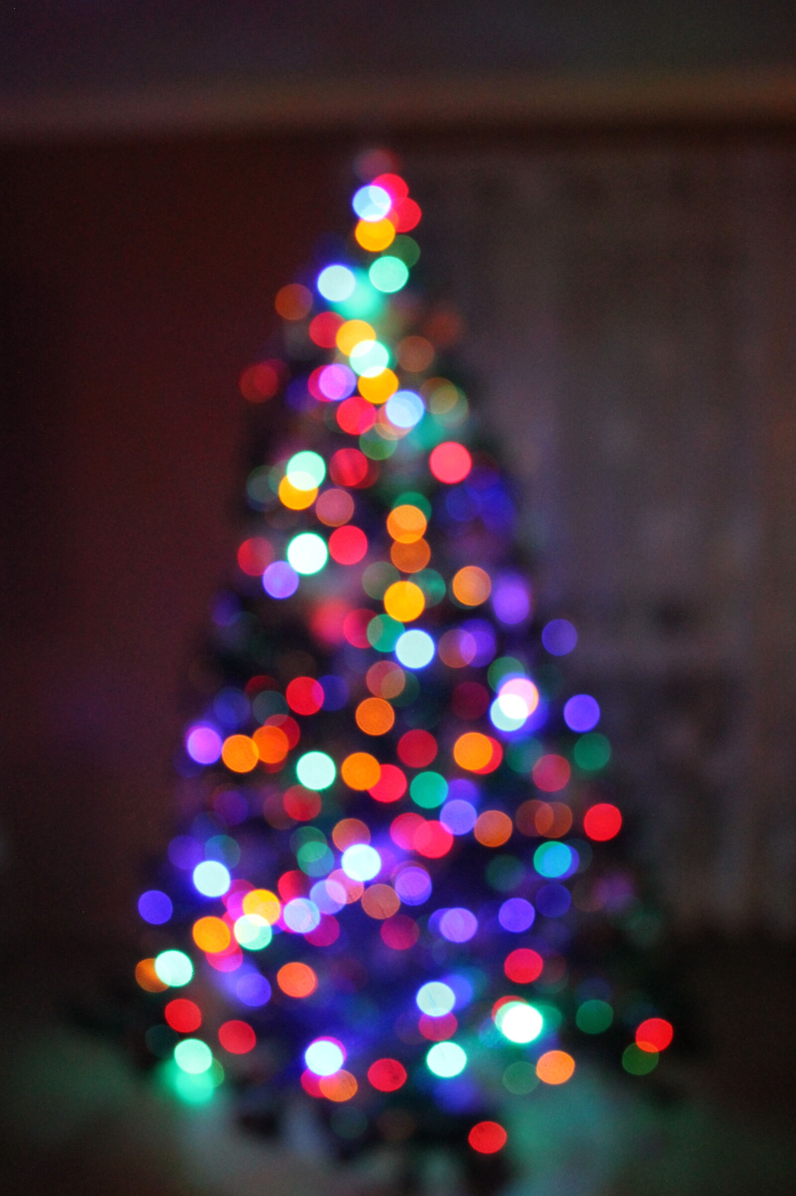 Canon EOS 1100D (EOS Rebel T3 / EOS Kiss X50) sample photo. Christmass, tree photography