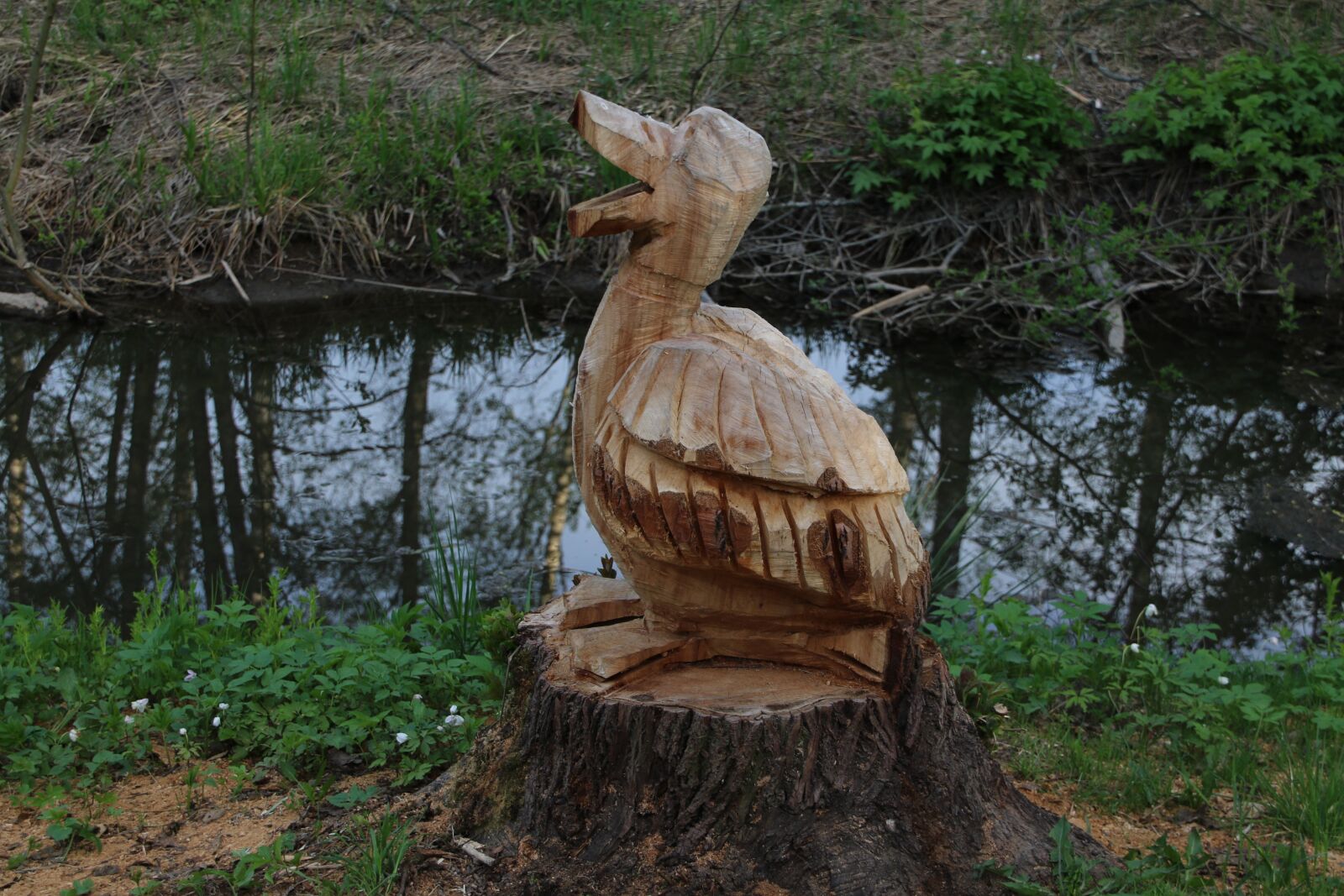 Canon EOS 7D Mark II sample photo. Wood, sculpture, duck photography