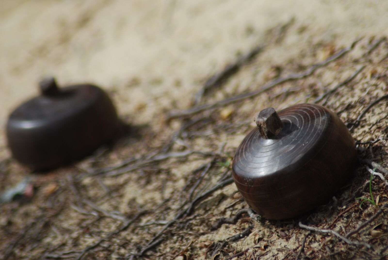Nikon D40X sample photo. Gasing, game of natuna photography