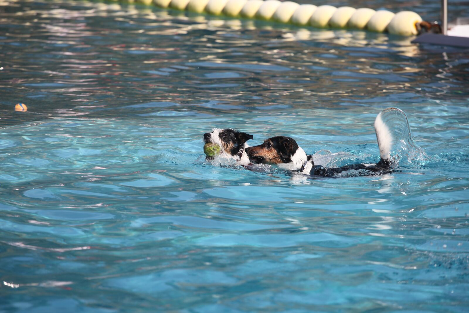 Canon EOS 5D Mark II sample photo. Calden, forest swimming pool photography