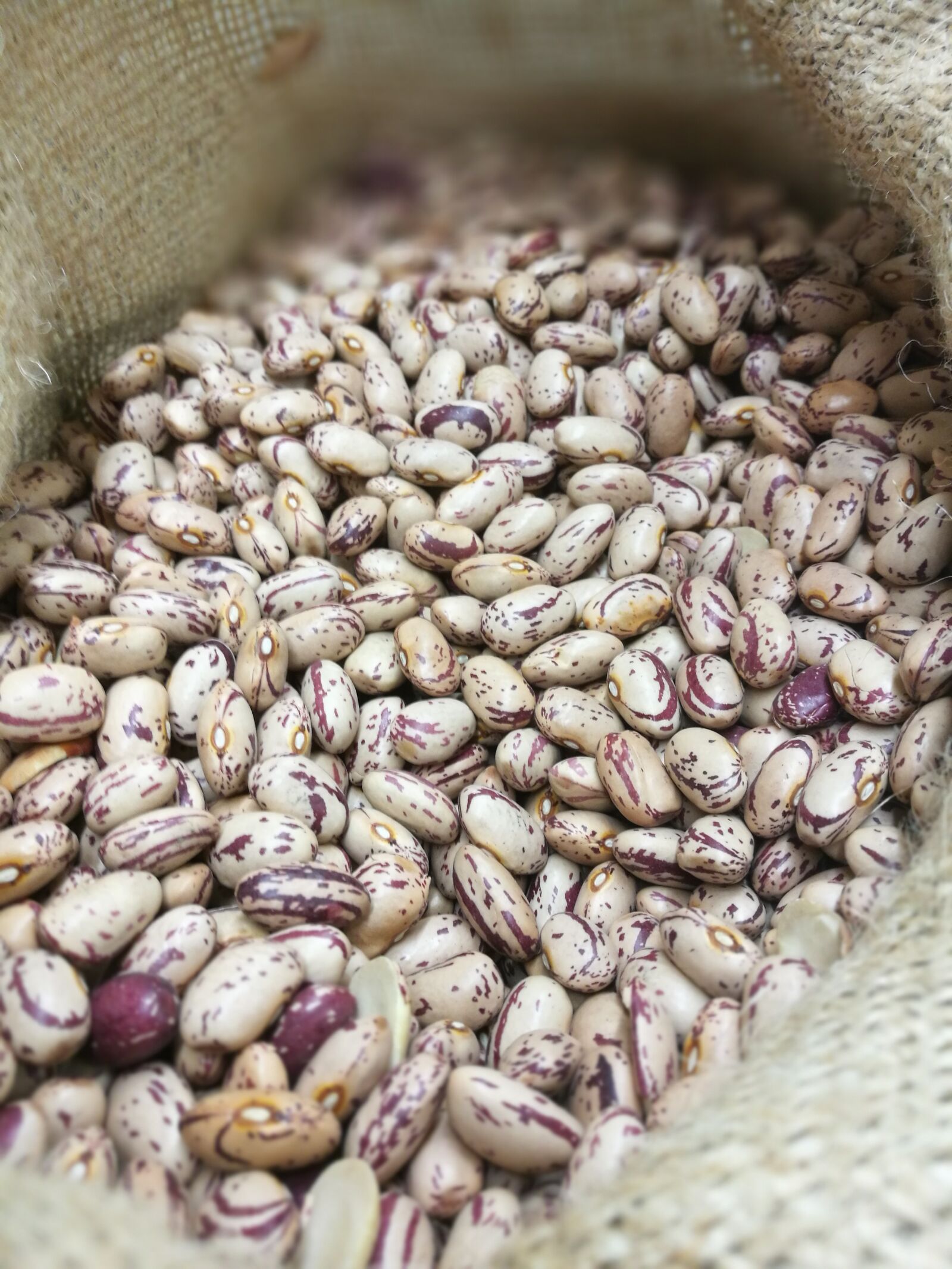 HUAWEI P9 sample photo. Food, legumes, beans photography