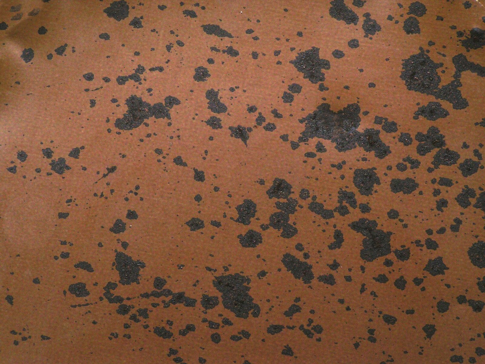 KONICA MINOLTA DiMAGE Z1 sample photo. Rust, metal, texture photography