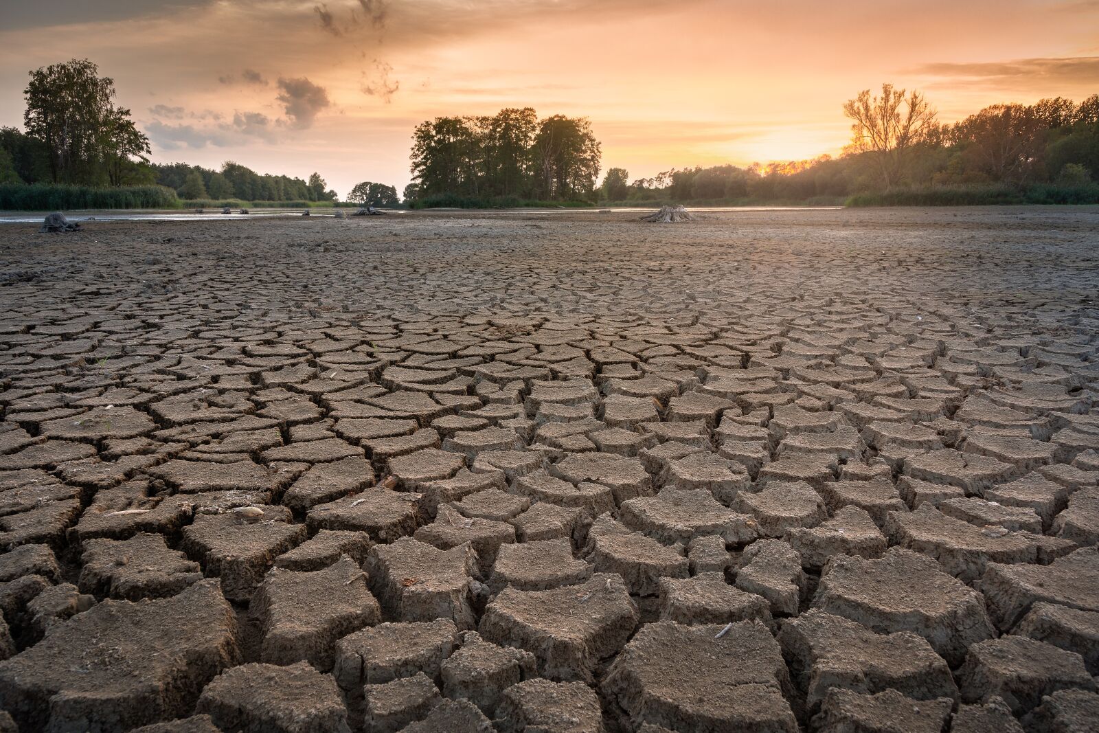 Nikon D7200 sample photo. Drought, cracks, dry photography