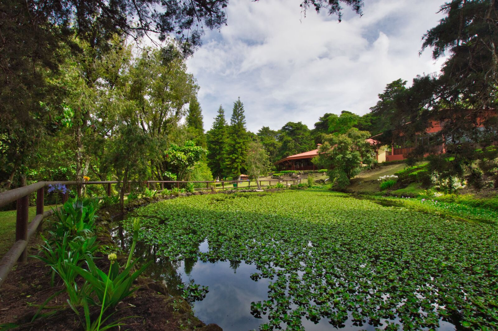 Nikon D3200 sample photo. Costa rica, pond, peace photography