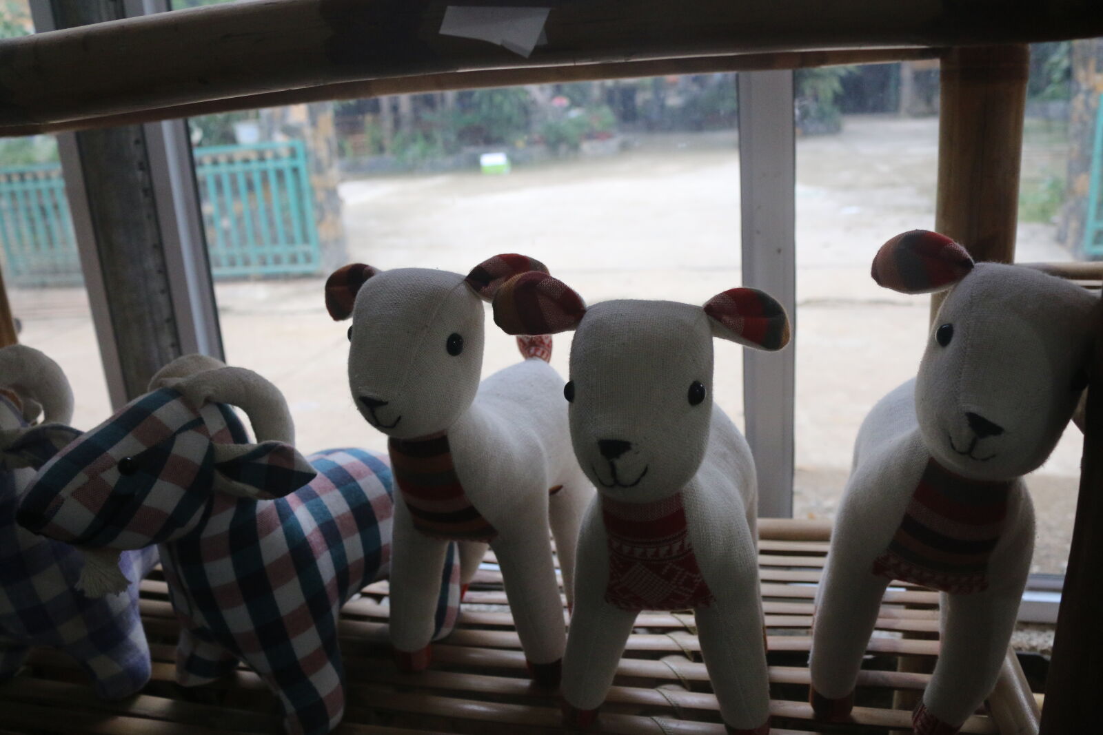 Canon EOS 70D sample photo