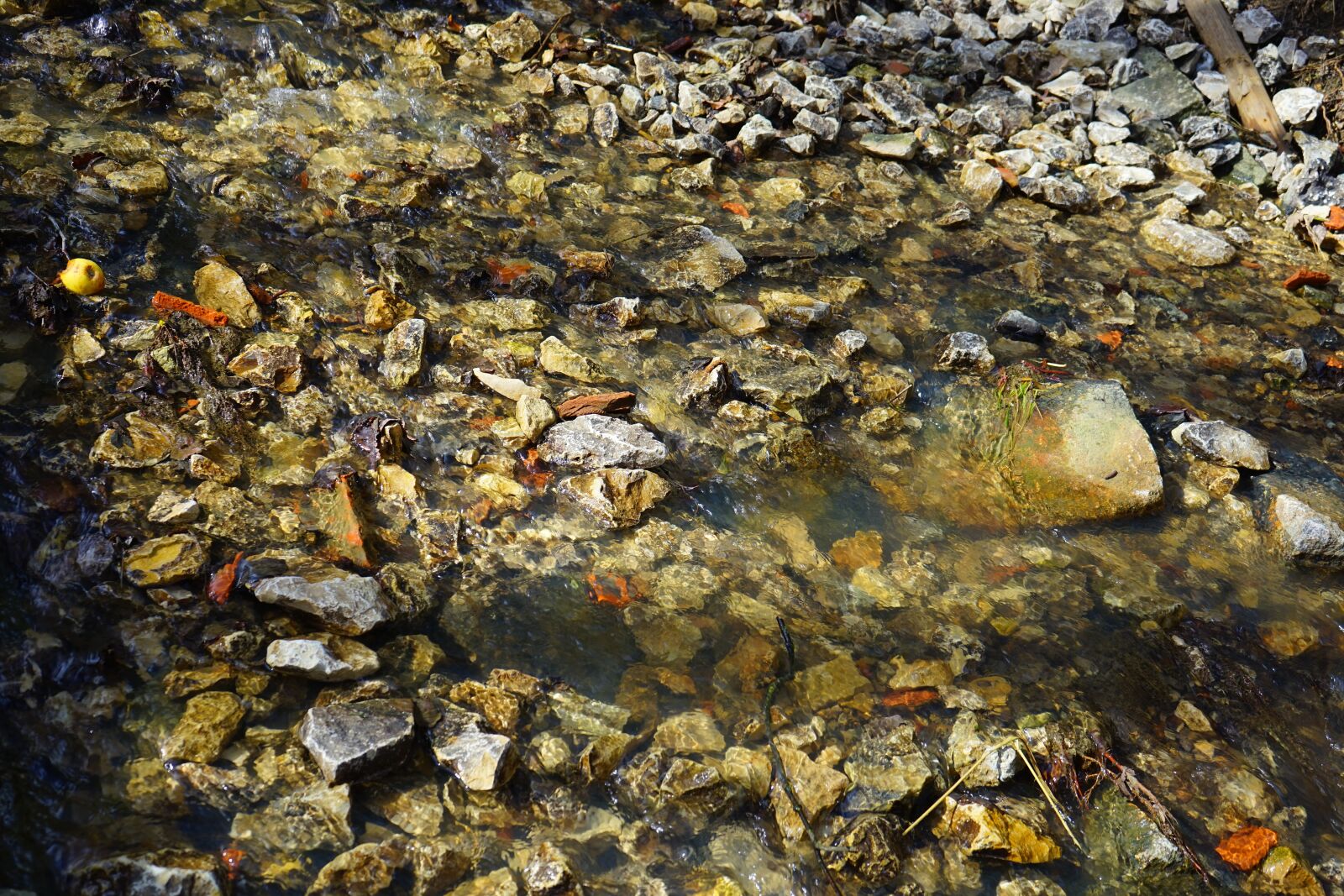 Sony a7 + Sony FE 28-70mm F3.5-5.6 OSS sample photo. Bach, creek, waters photography