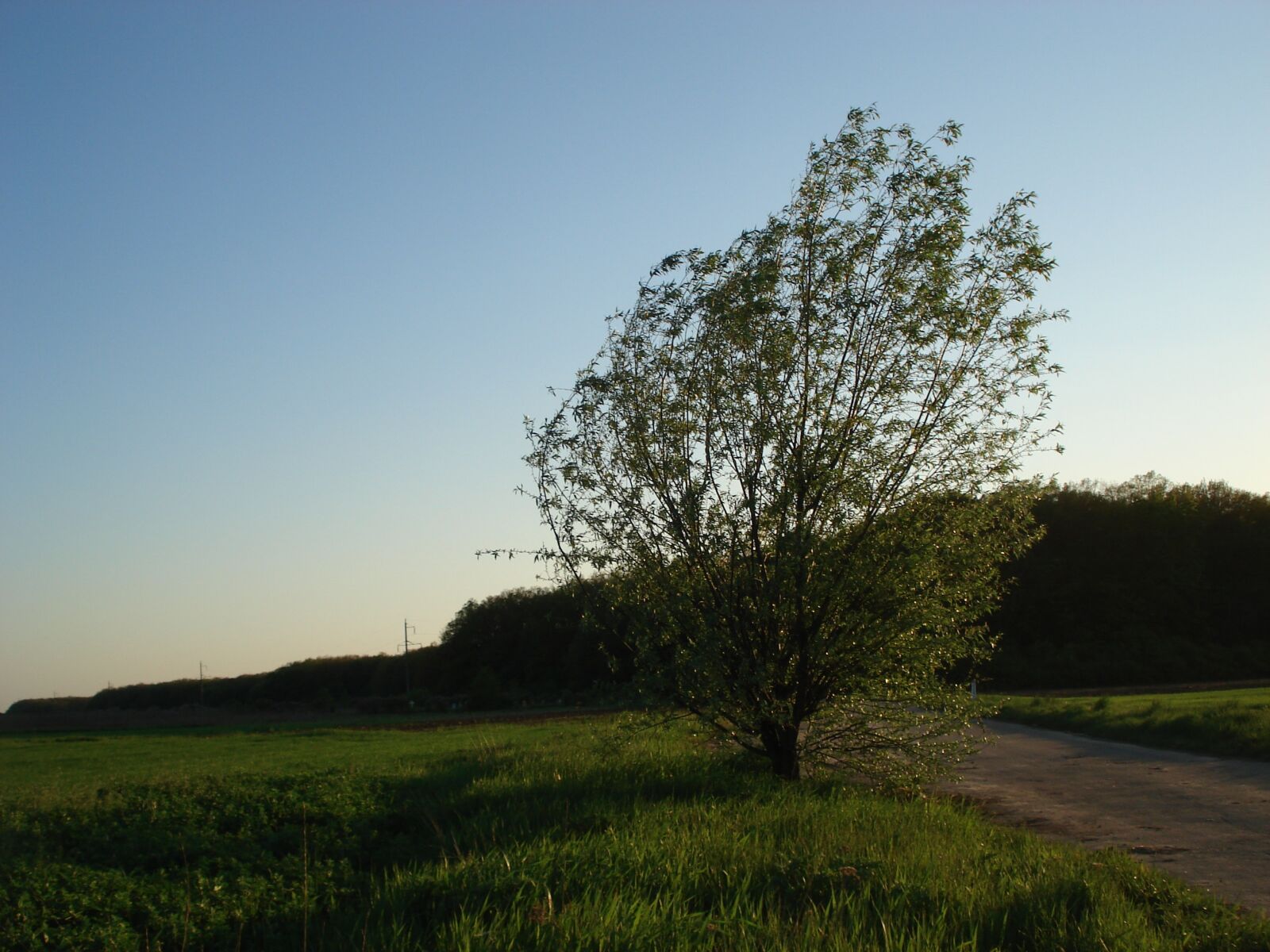 Sony DSC-W30 sample photo. Landscape, nature, sunset photography