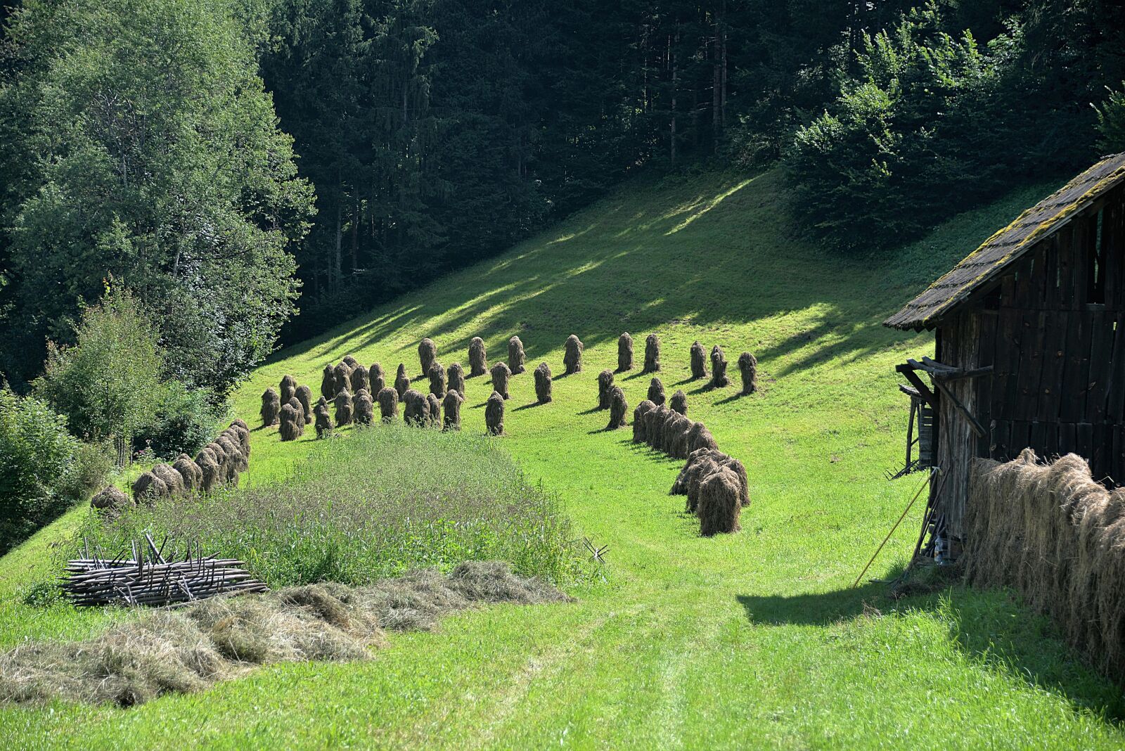 Nikon D610 sample photo. Hay, meadow, stadl photography