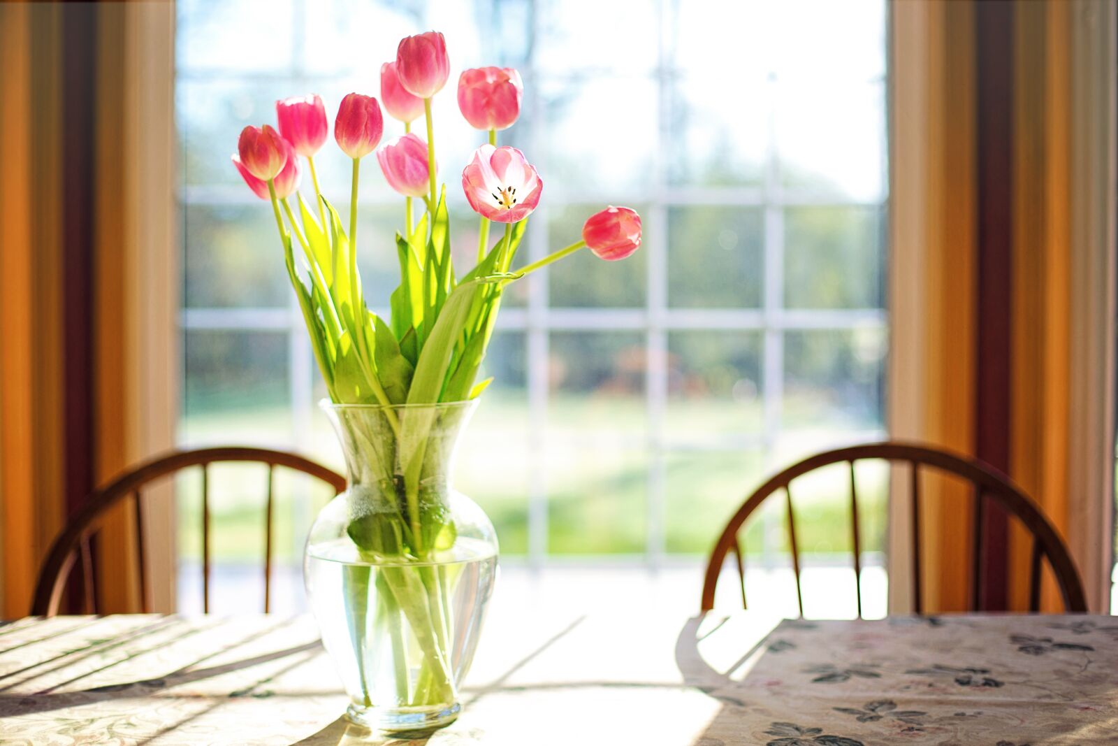 Canon EF 50mm F1.4 USM sample photo. Tulips, vase, spring photography