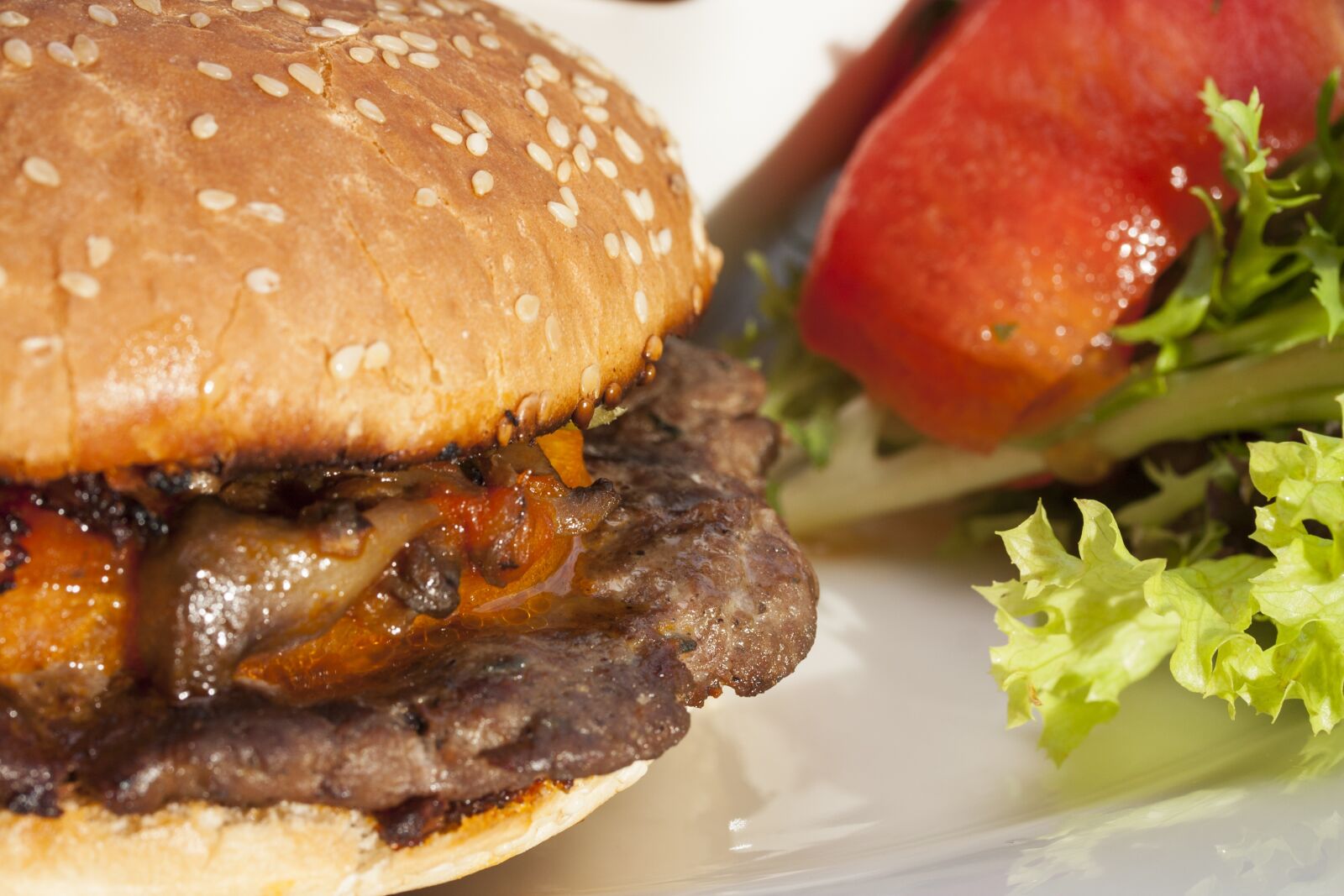 Canon EOS 40D sample photo. Burger, meat, bread photography