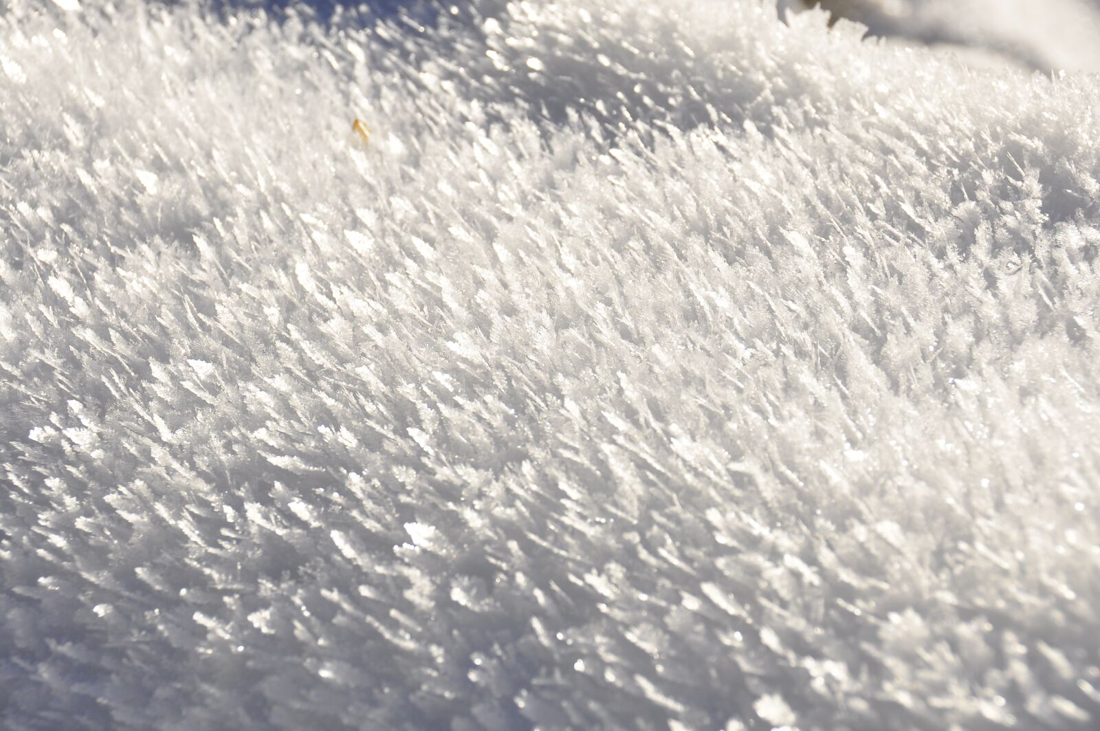 Nikon D90 sample photo. Winter, snow, ice photography