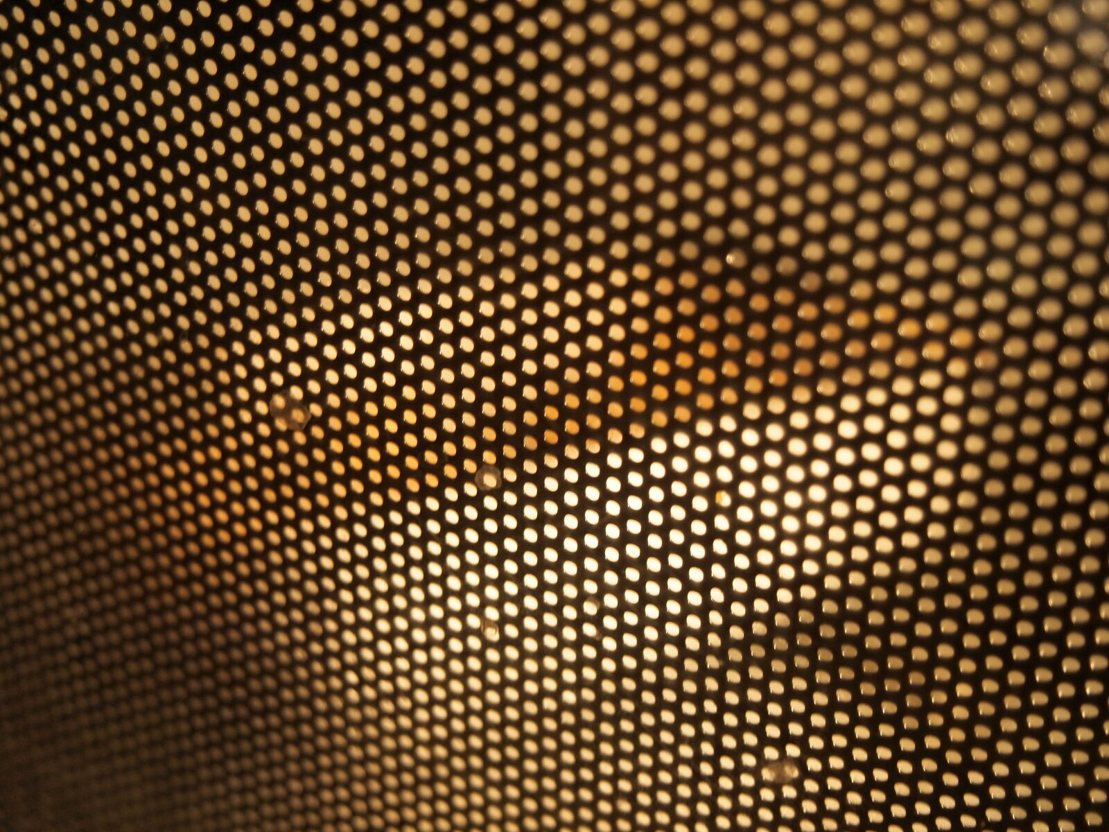 Olympus PEN E-PL2 sample photo