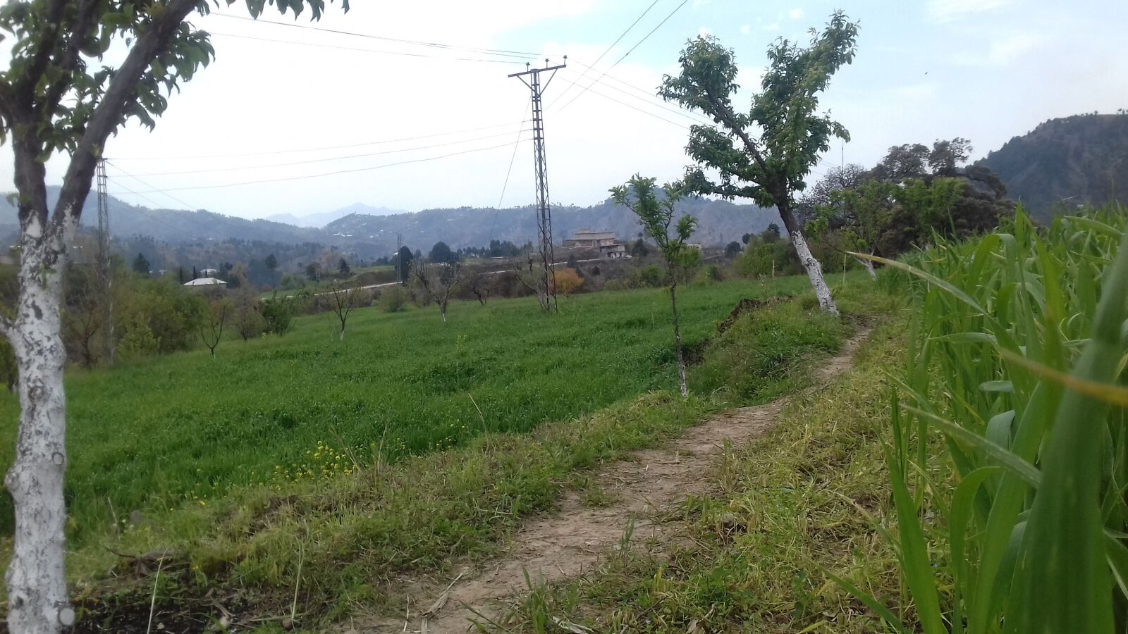 Samsung Galaxy J3(2016) sample photo. Peeran mansehra, pakistan, peeran photography
