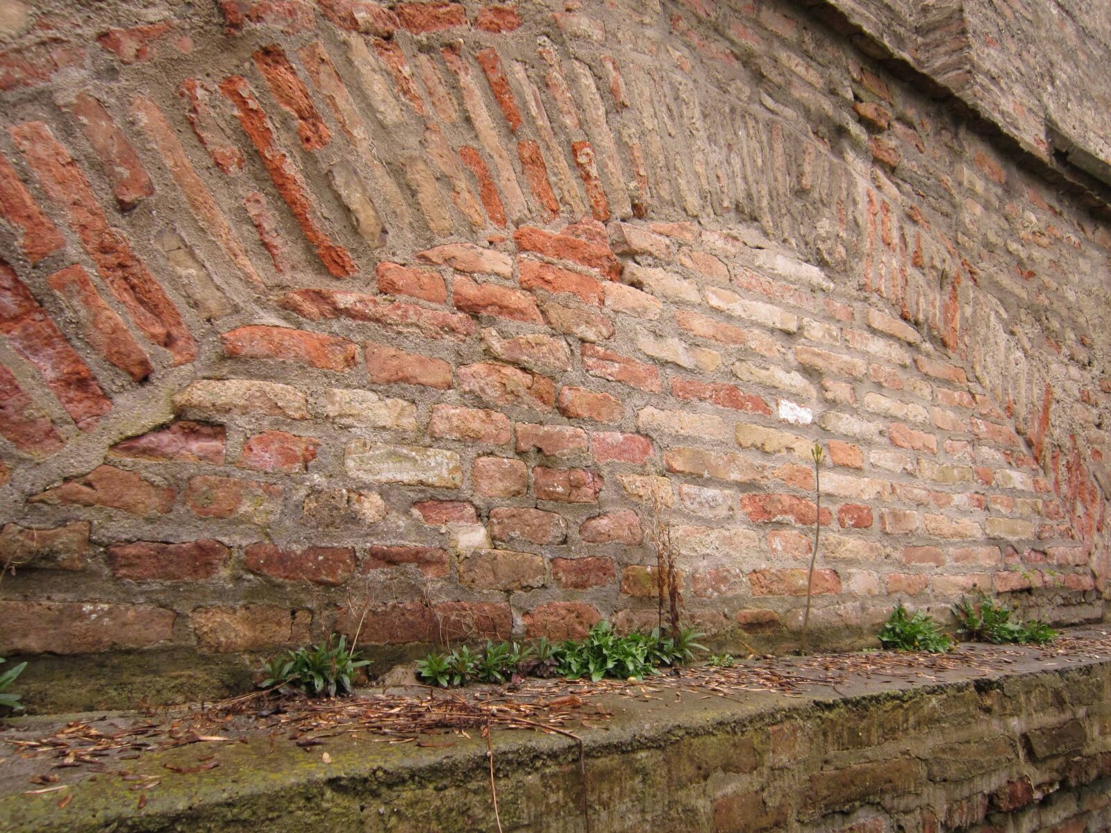 Canon PowerShot A3200 IS sample photo. Old, wall, architecture, texture photography