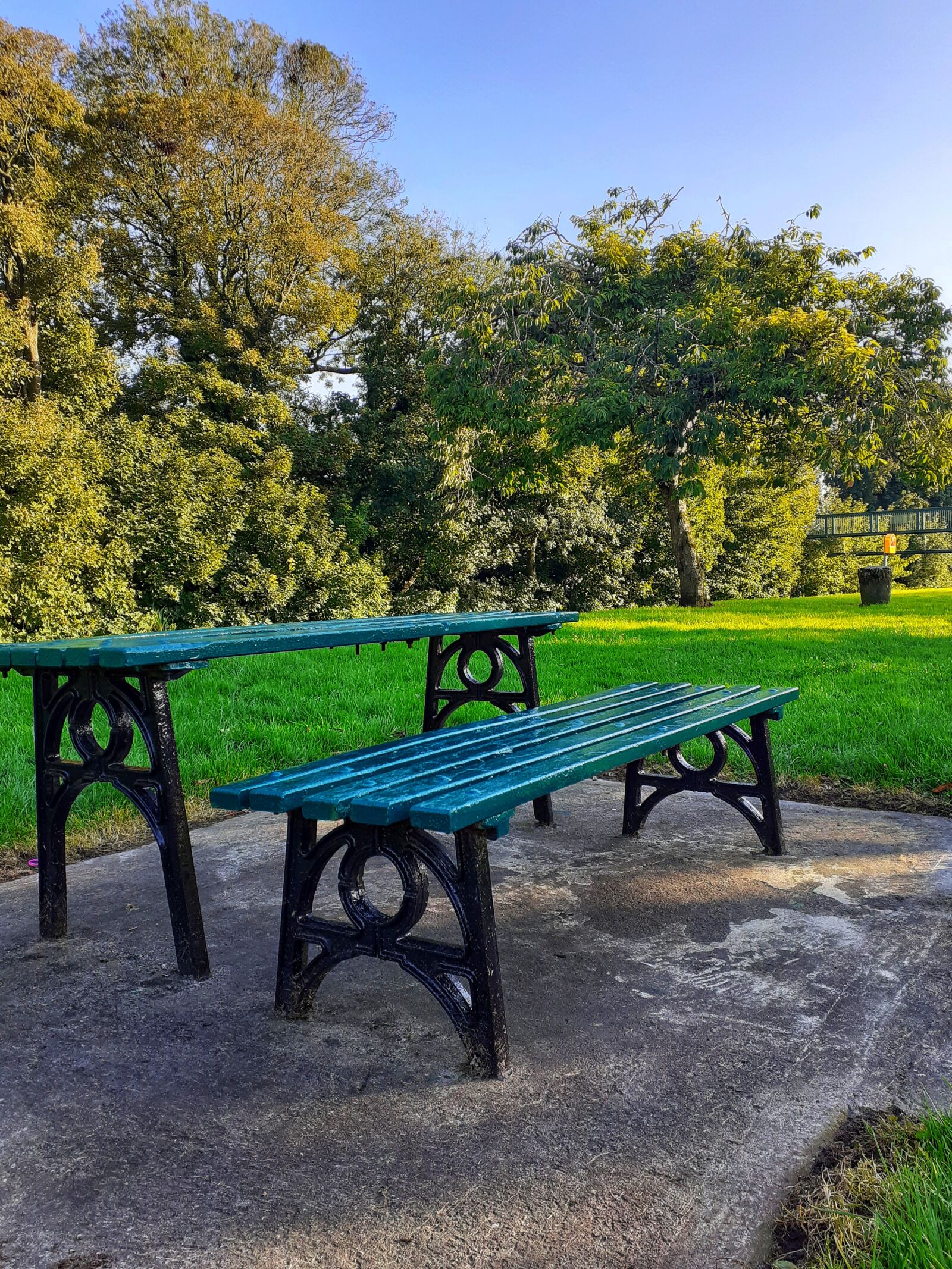 Samsung SM-A202F sample photo. Nature, green, bench photography