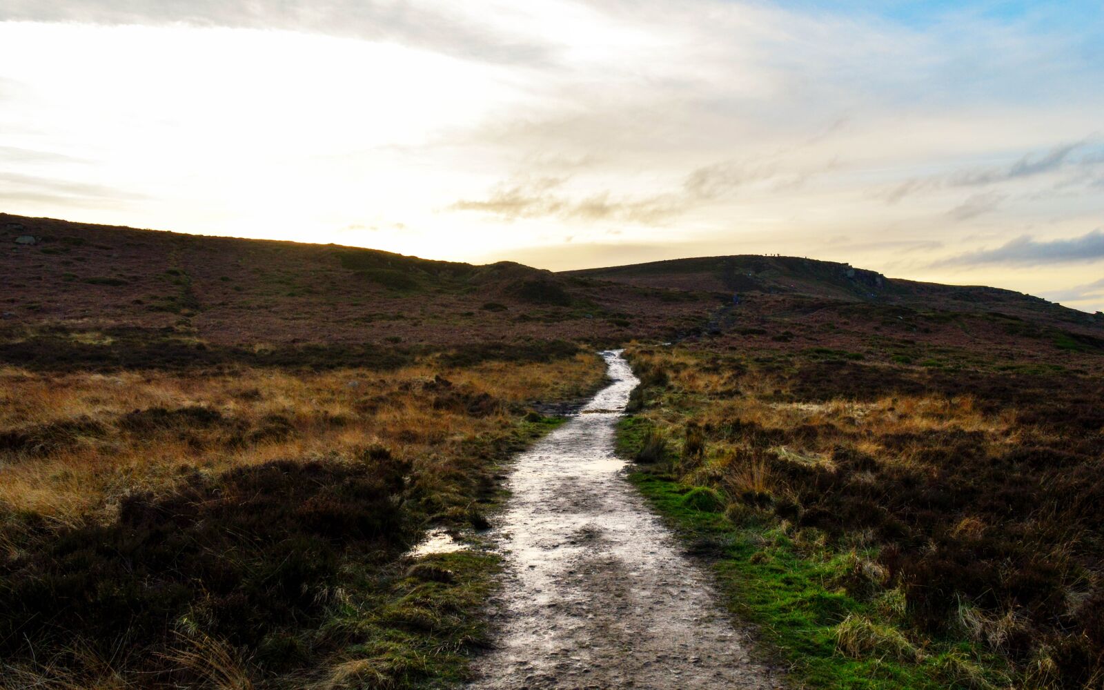 Nikon D3200 sample photo. Moor, landscape, nature photography