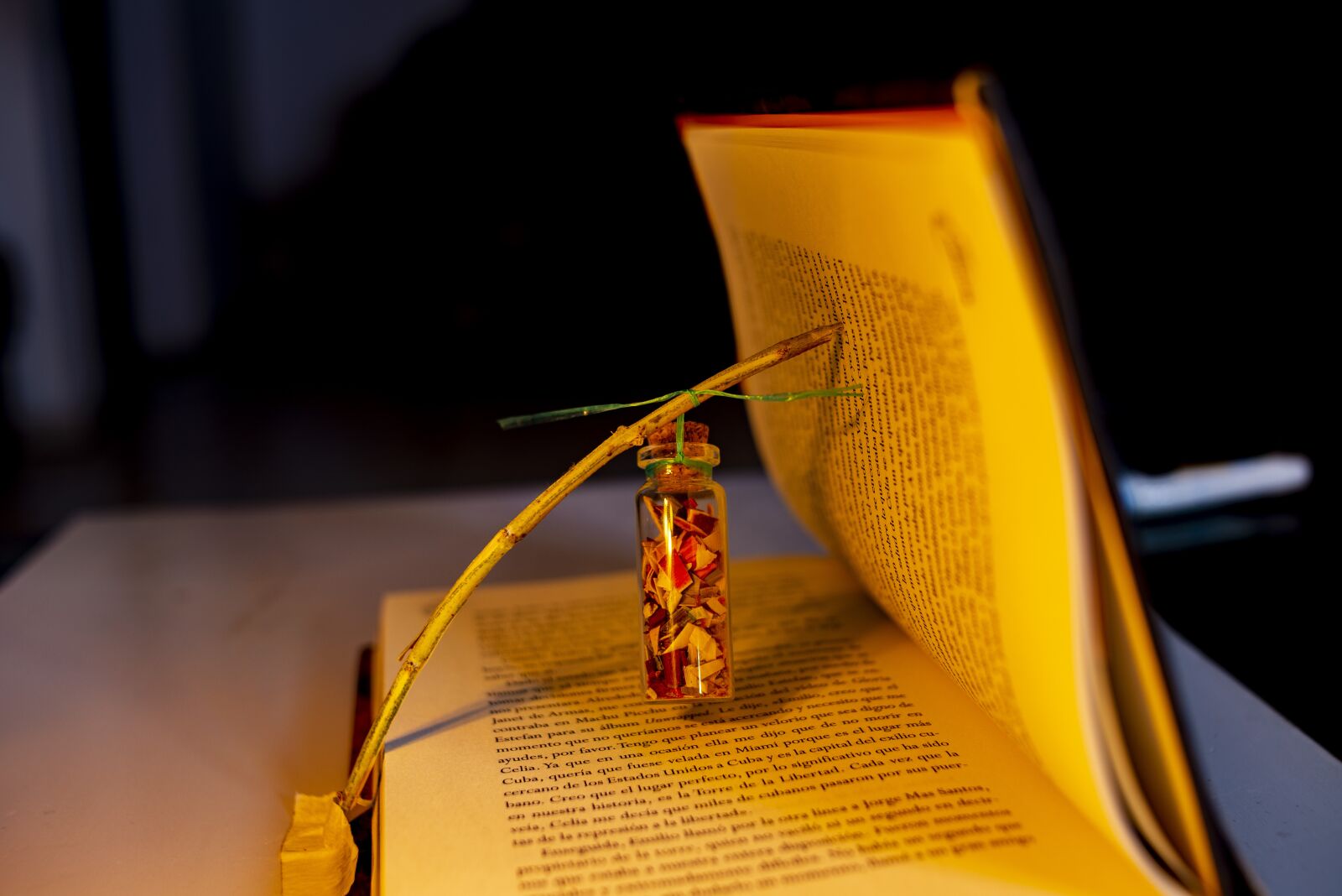 Nikon D600 sample photo. Book, read, learning photography