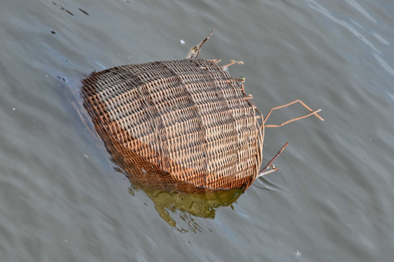 Nikon D5500 sample photo. Flood, garbage, wicker basket photography