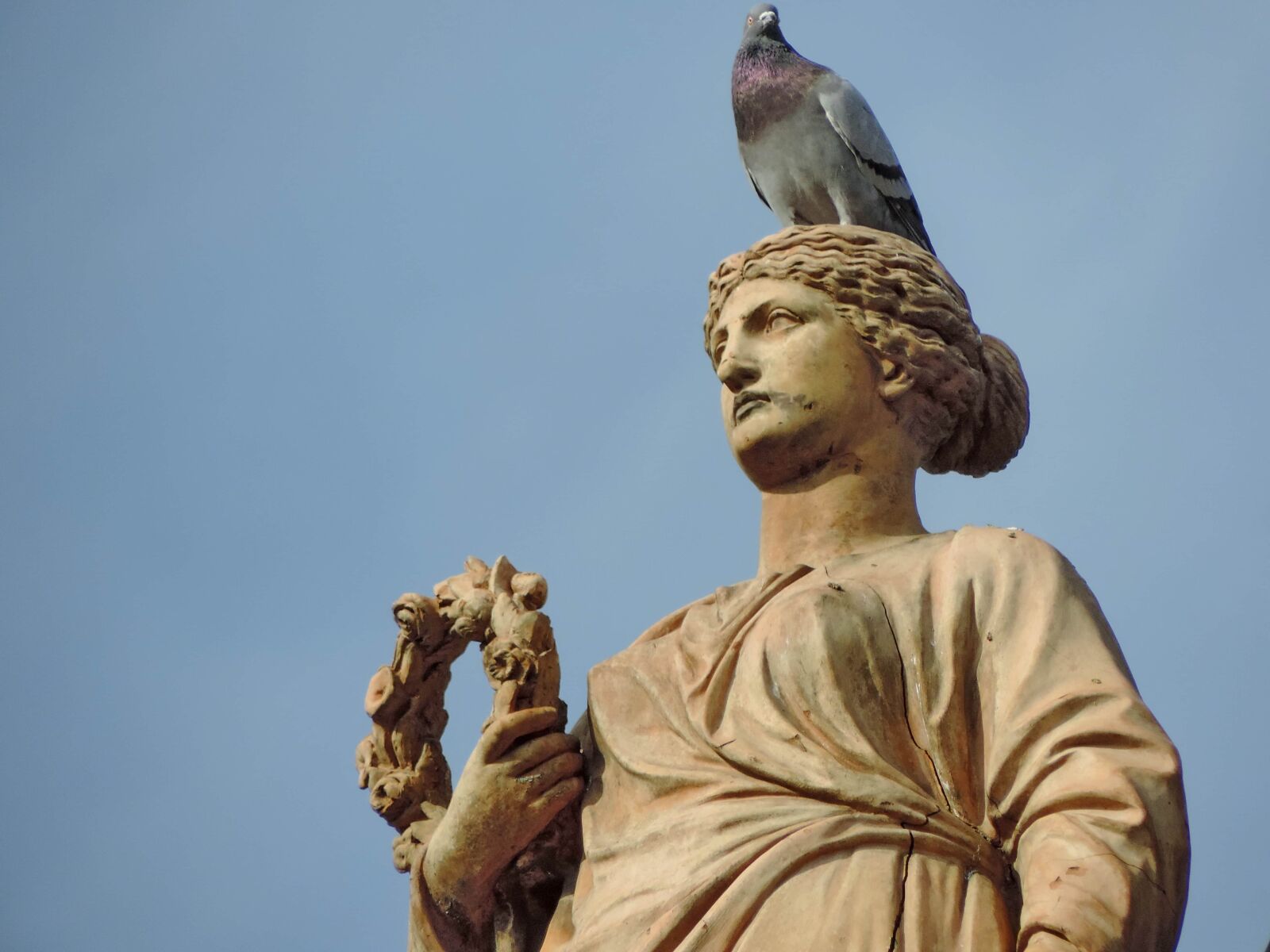 Nikon Coolpix P520 sample photo. Antique, bust, culture, marble photography
