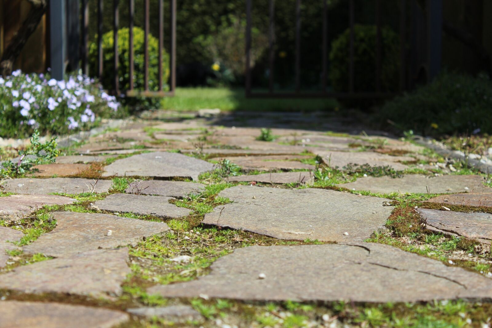 Canon EOS 1200D (EOS Rebel T5 / EOS Kiss X70 / EOS Hi) sample photo. Away, steinweg, slabs photography