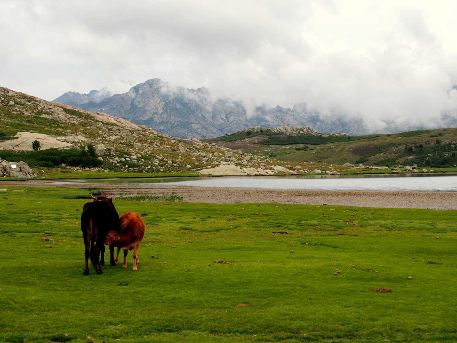 Olympus PEN E-PL6 sample photo. Nature, corsica, france photography