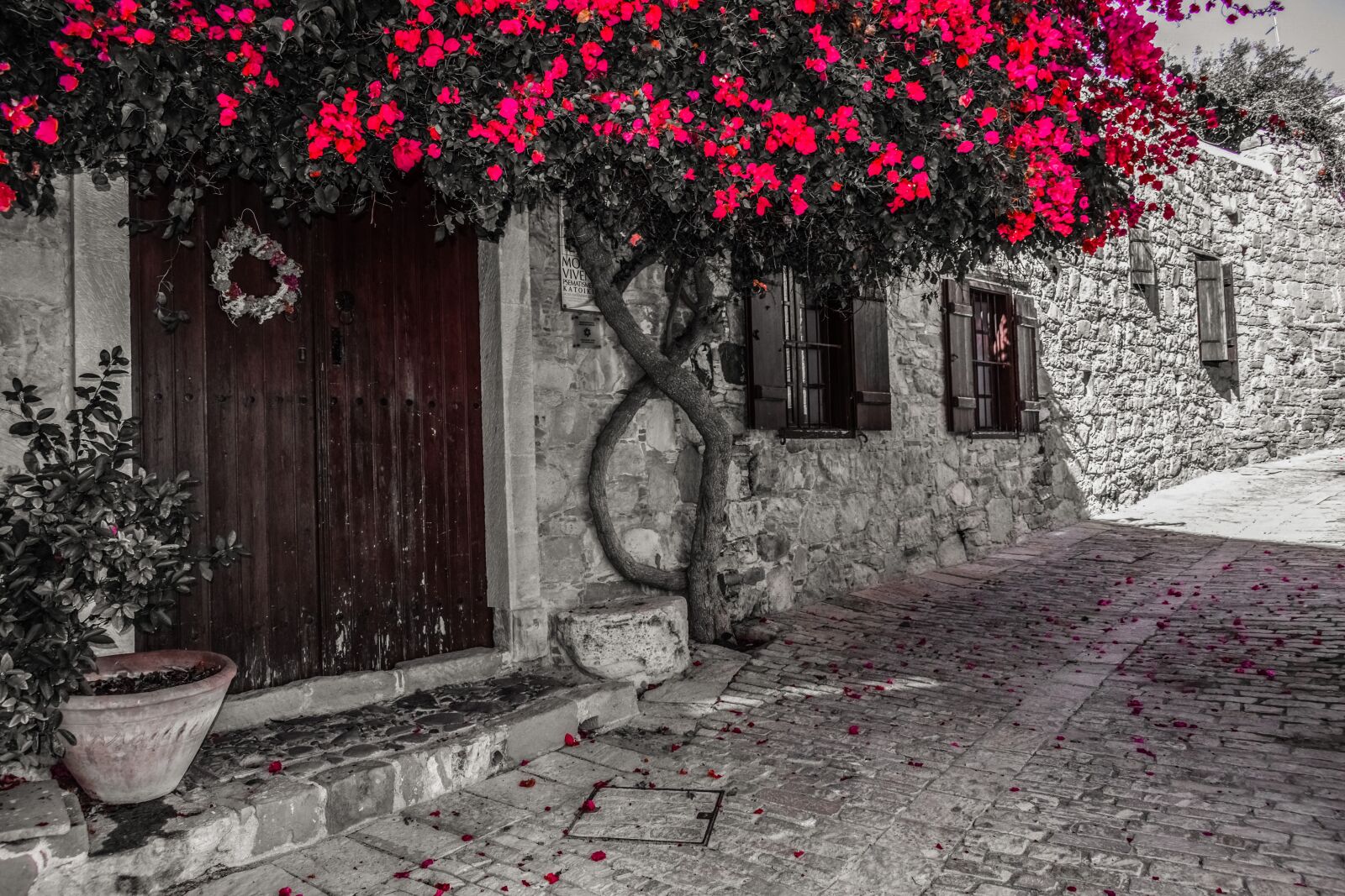 Nikon D3300 sample photo. Old house, street, architecture photography