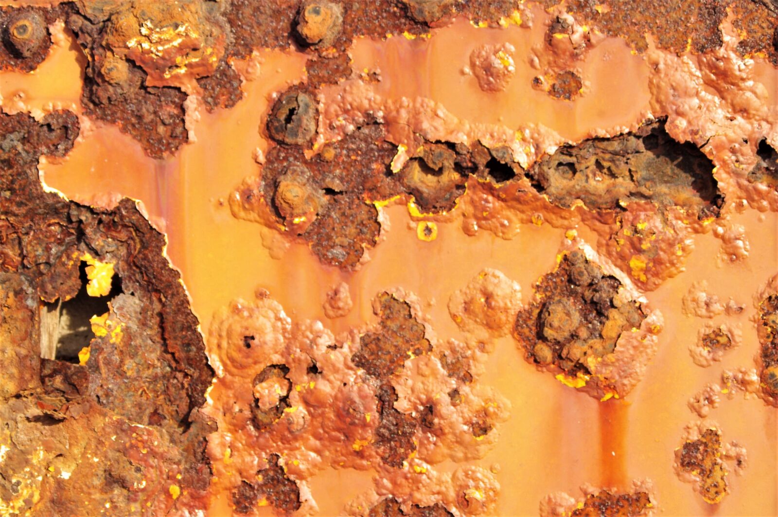 Pentax K-x sample photo. Rusty, metal, texture photography