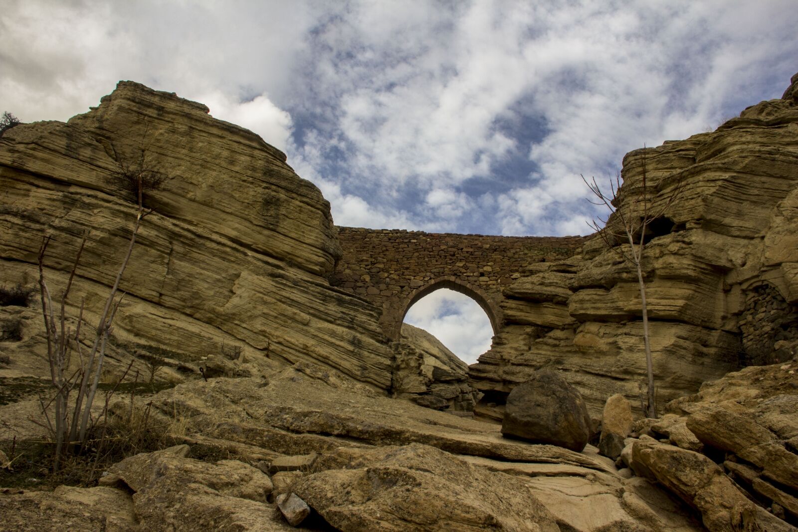 Canon EOS 60D sample photo. Nature, kennedy, travel photography