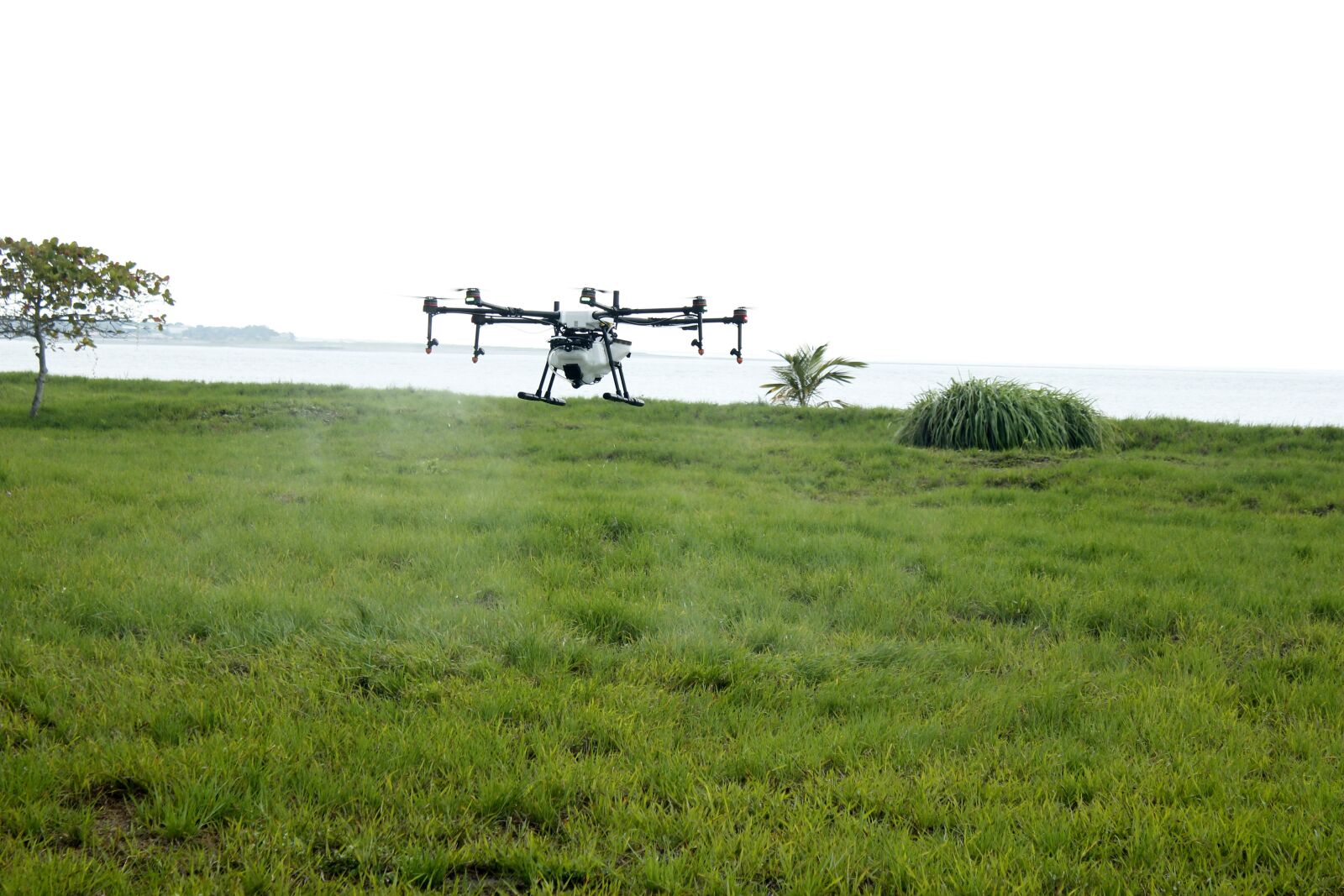 Canon EOS 550D (EOS Rebel T2i / EOS Kiss X4) sample photo. Drone asperjando, drone farm photography