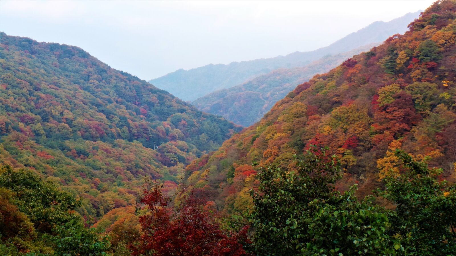 Samsung Galaxy Camera (Wi-Fi) sample photo. Autumn, autumn leaves, jiri photography