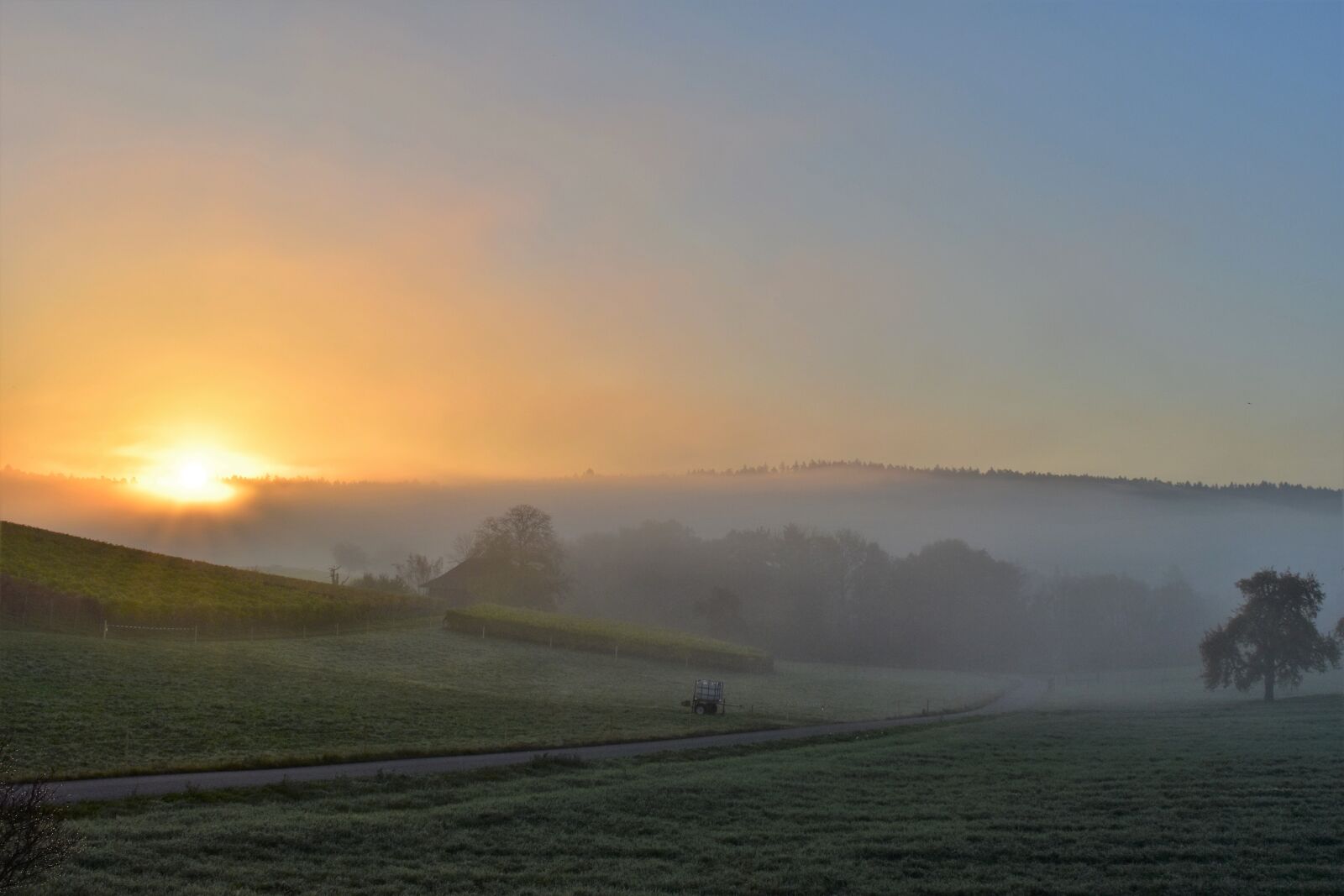 Nikon D5500 sample photo. Landscape, autumn, mood photography
