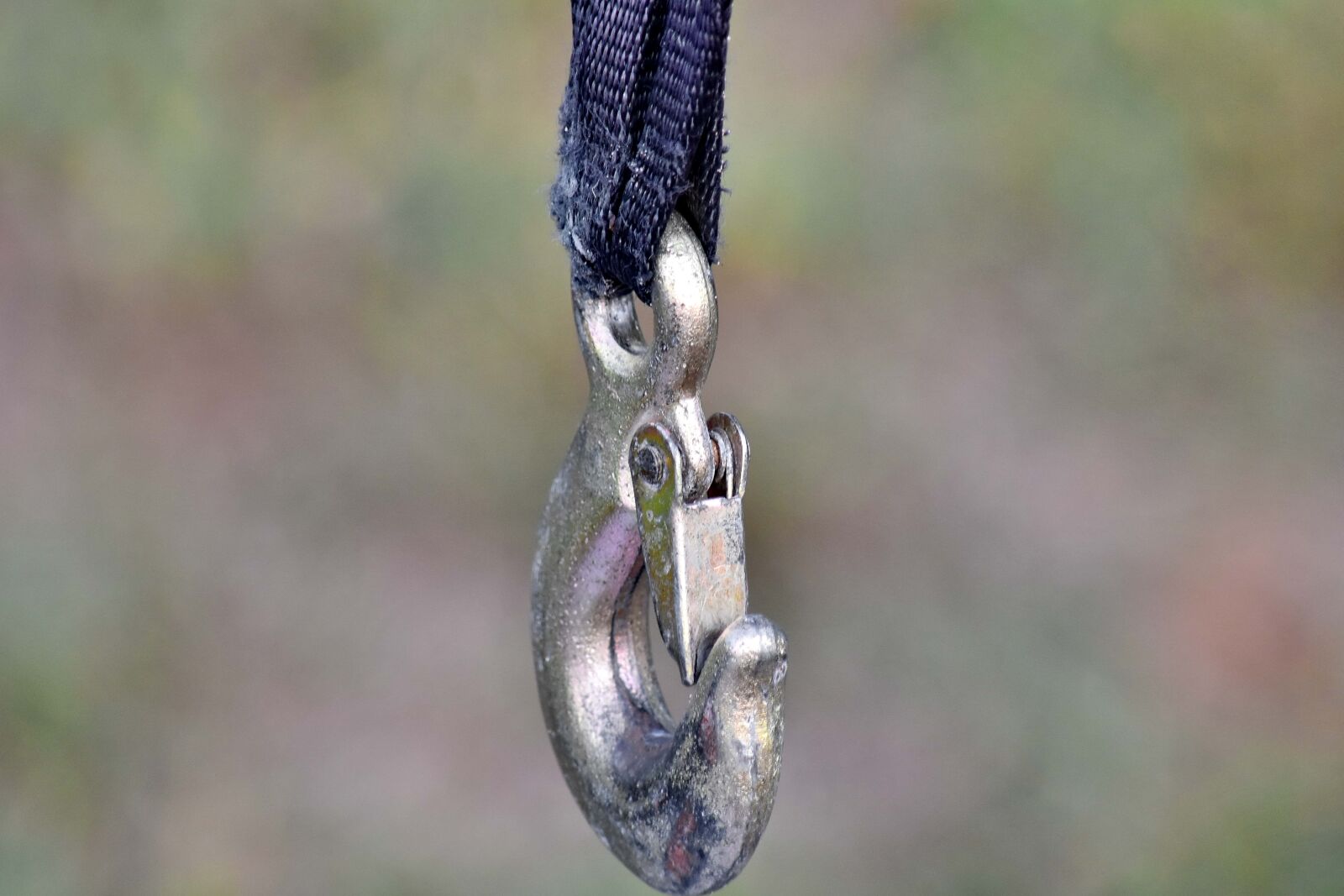 Nikon D5500 sample photo. Hook, attachment, outdoors, nature photography