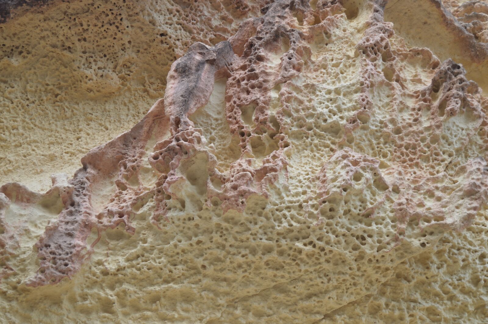 Nikon D3200 sample photo. Rock, texture, rock texture photography