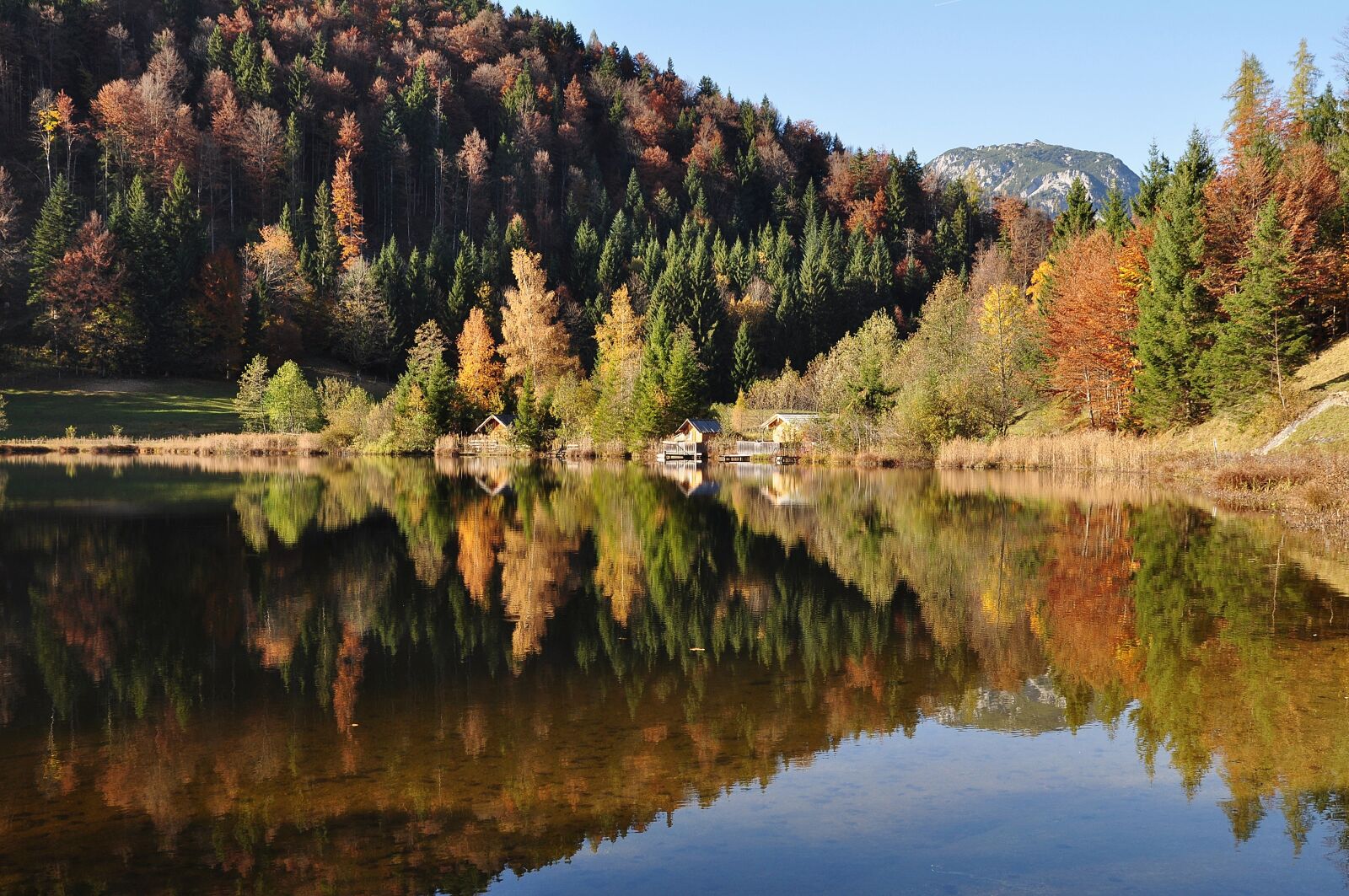 Nikon D90 sample photo. Autumn, autumn mood, nature photography