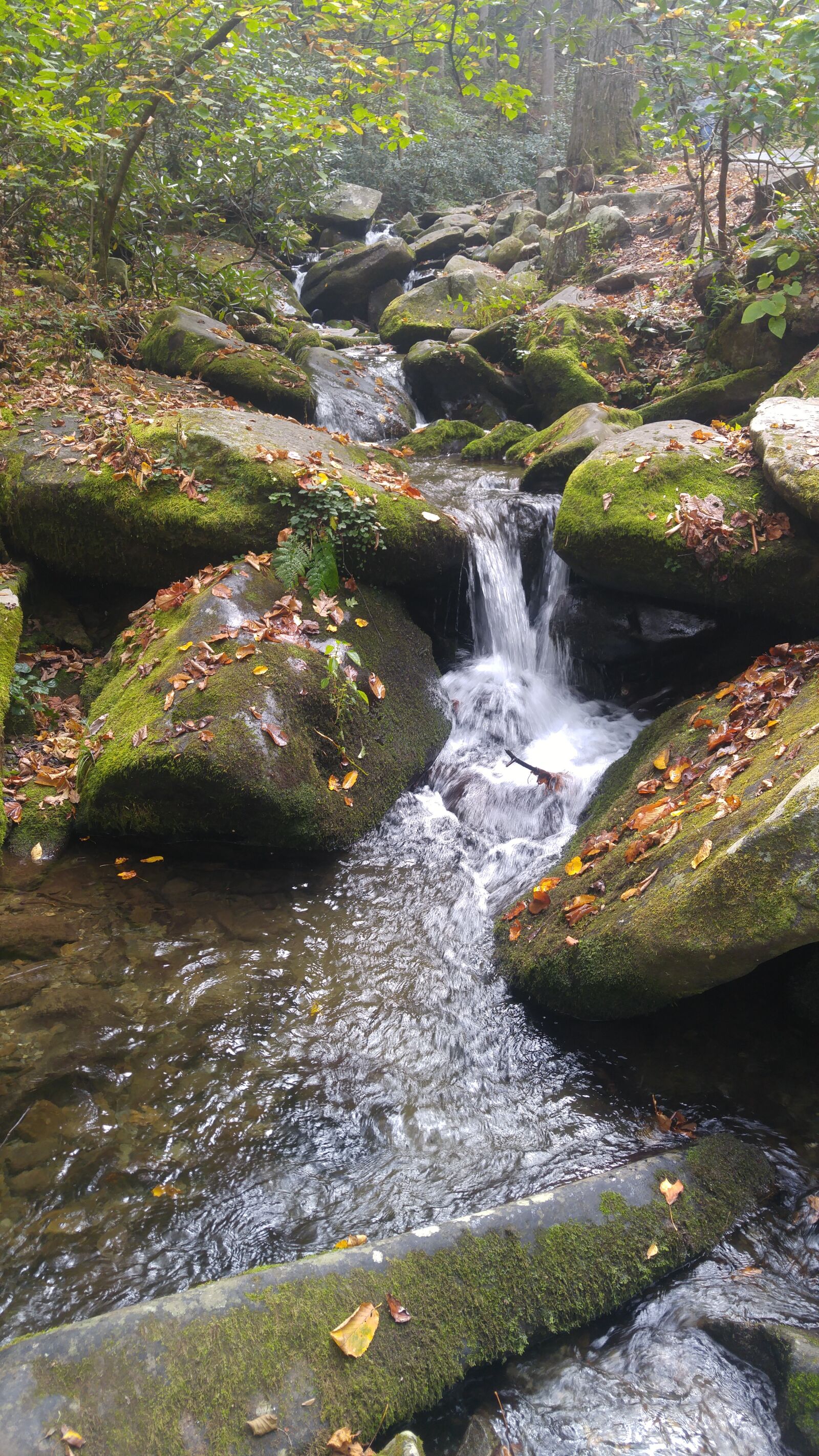 LG G4 sample photo. Mountain, stream, nature, photography photography