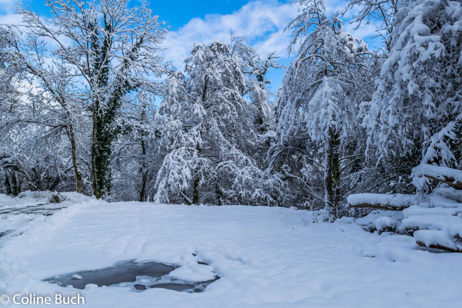 Nikon D3300 sample photo. Larrau, france photography