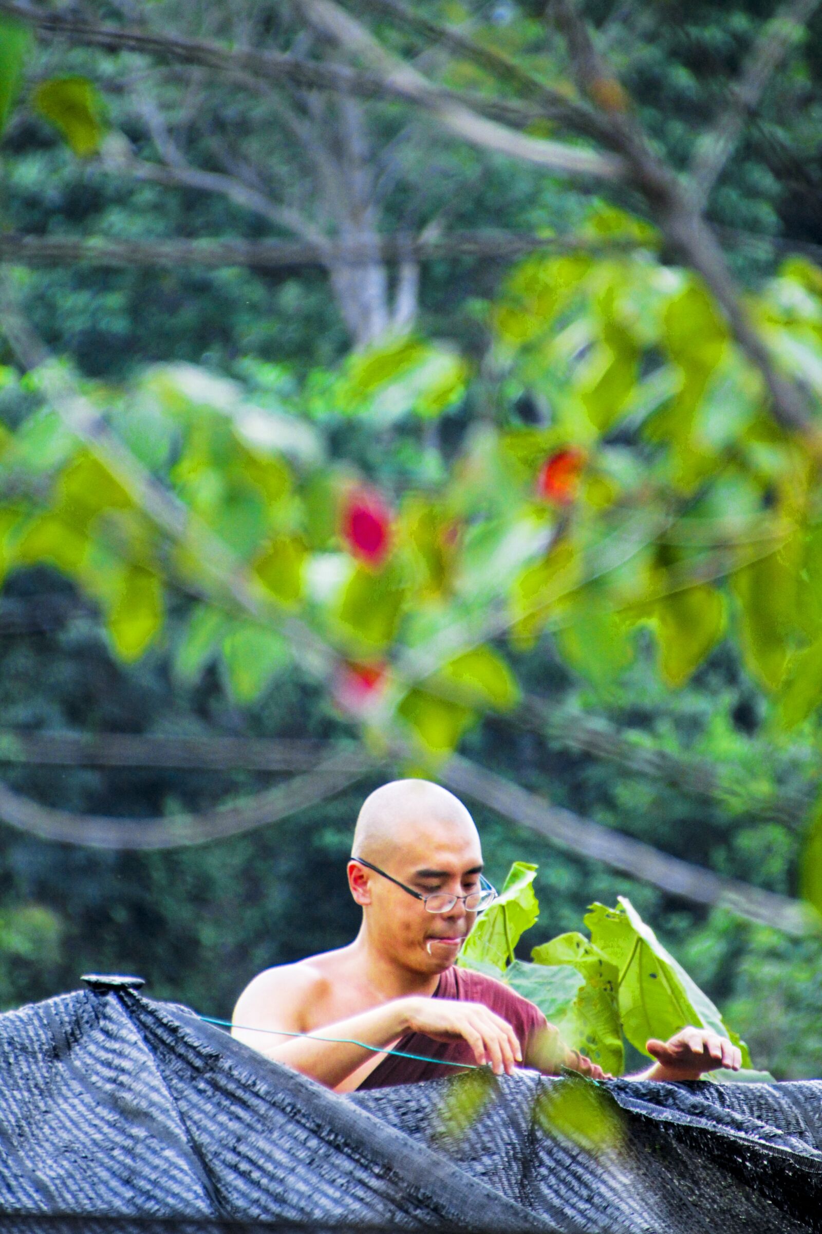 Canon EOS 1100D (EOS Rebel T3 / EOS Kiss X50) sample photo. Monk, bhikkhu, monk at photography