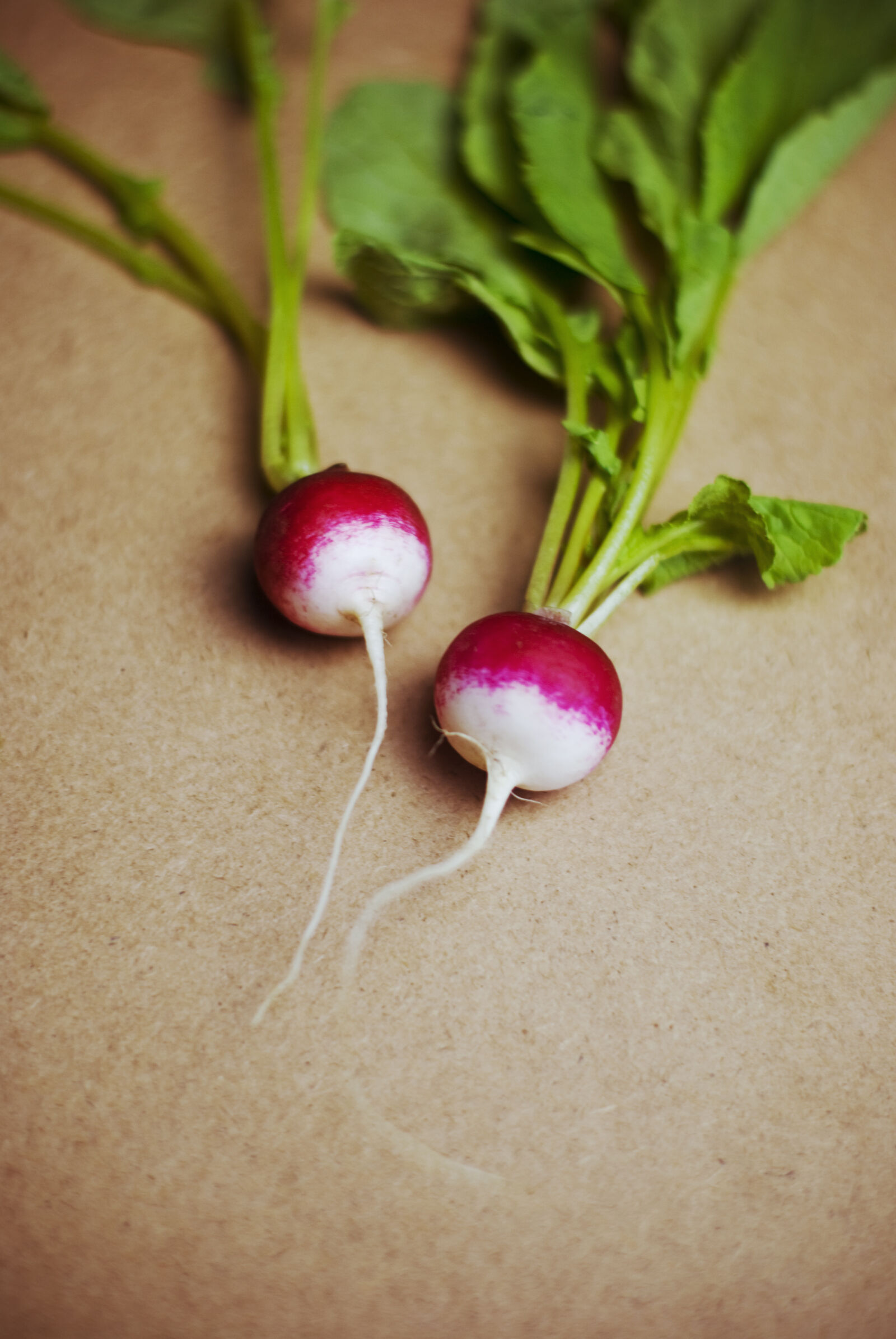 Nikon D60 sample photo. Fresh, radish, vegetables photography