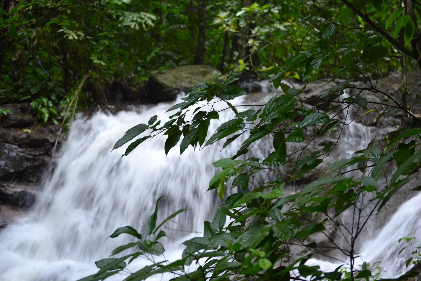 Nikon D3100 sample photo. Waterfall, water, nature photography