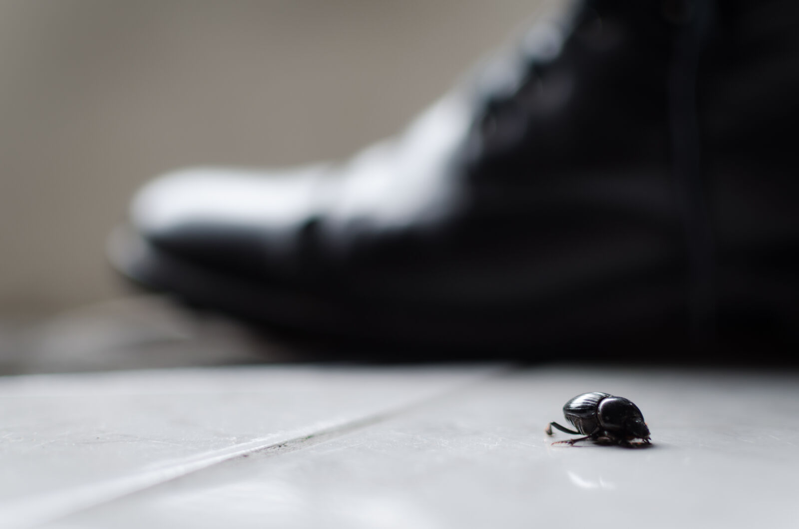 Nikon D5100 + Nikon AF-S DX Nikkor 35mm F1.8G sample photo. Beattle, boot, ground, perspective photography