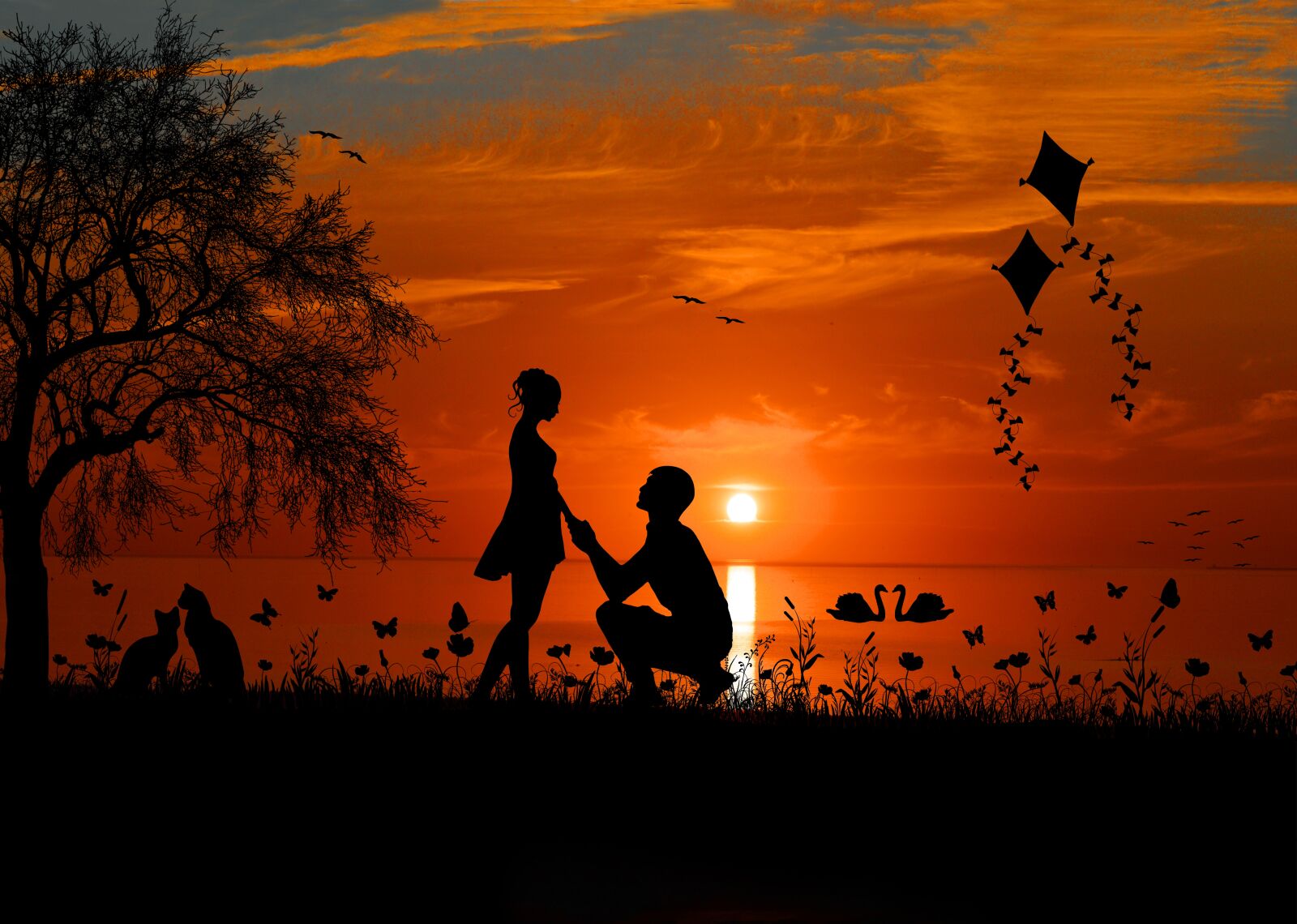 Nikon D3200 sample photo. Marriage proposal, request, love photography